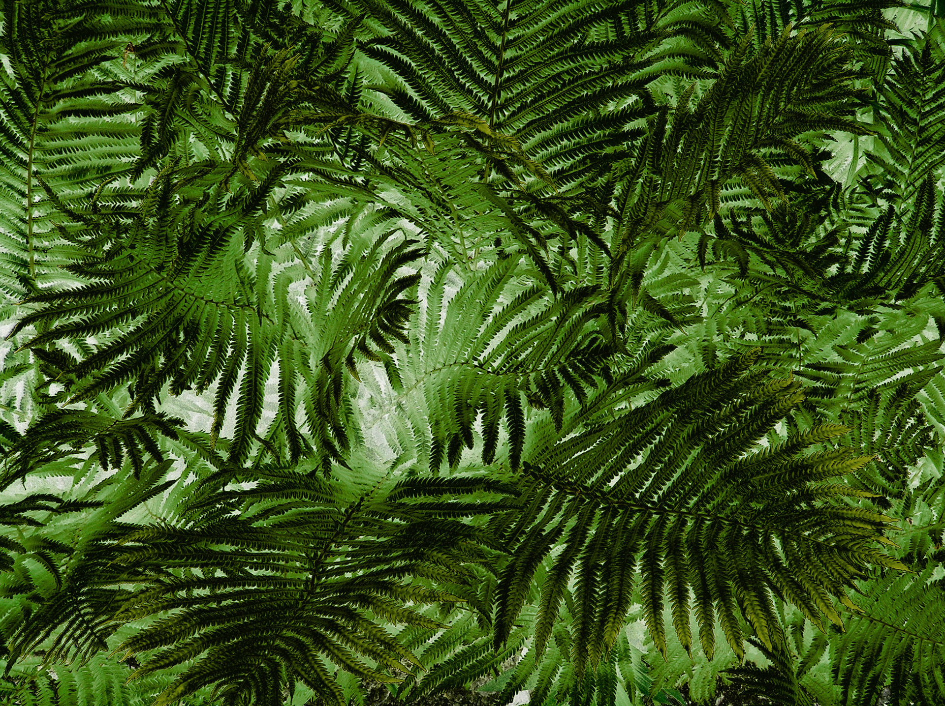Lost in Swirls