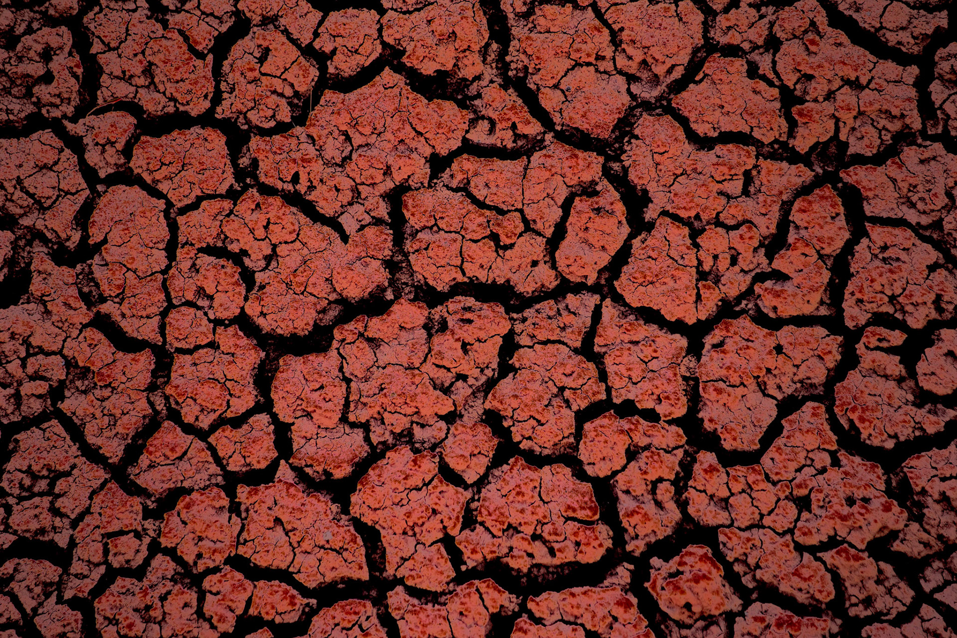 Cracked Earth
