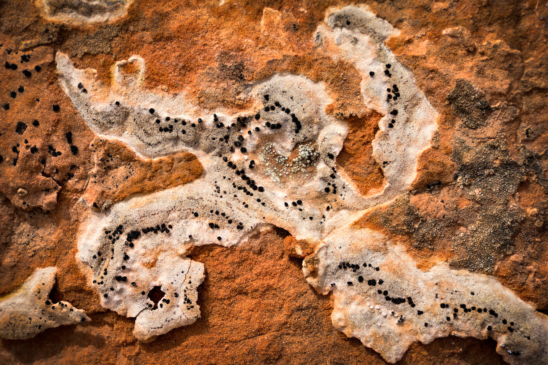 Escalante Sun Dance