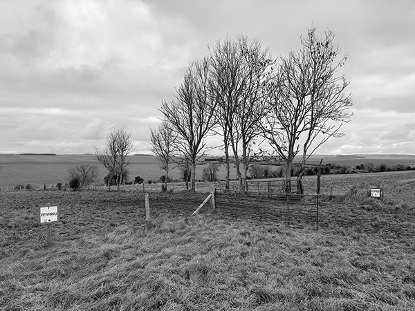 SPTA: A Landscape In Service - SPTA Centre: Larkhill and Westdown ...