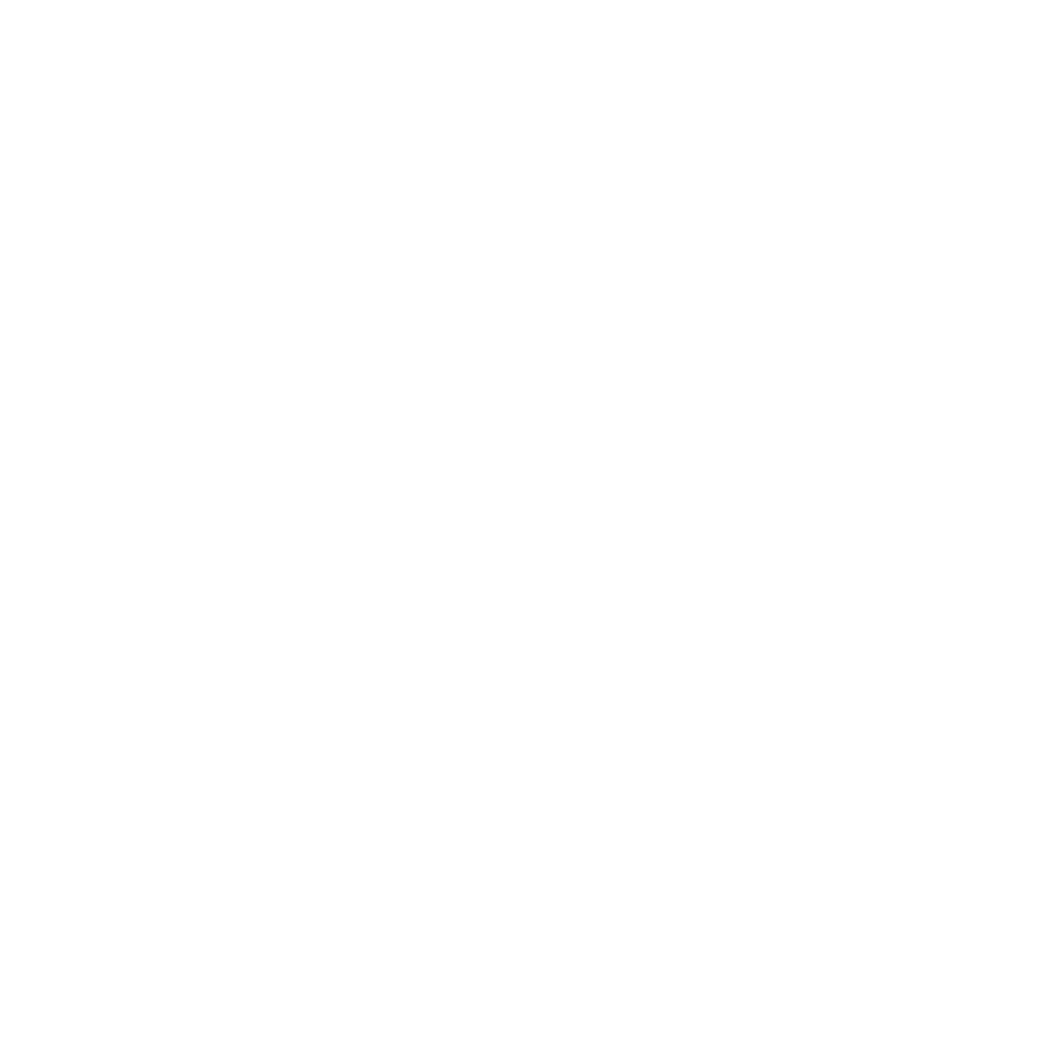 Dylan Stoer