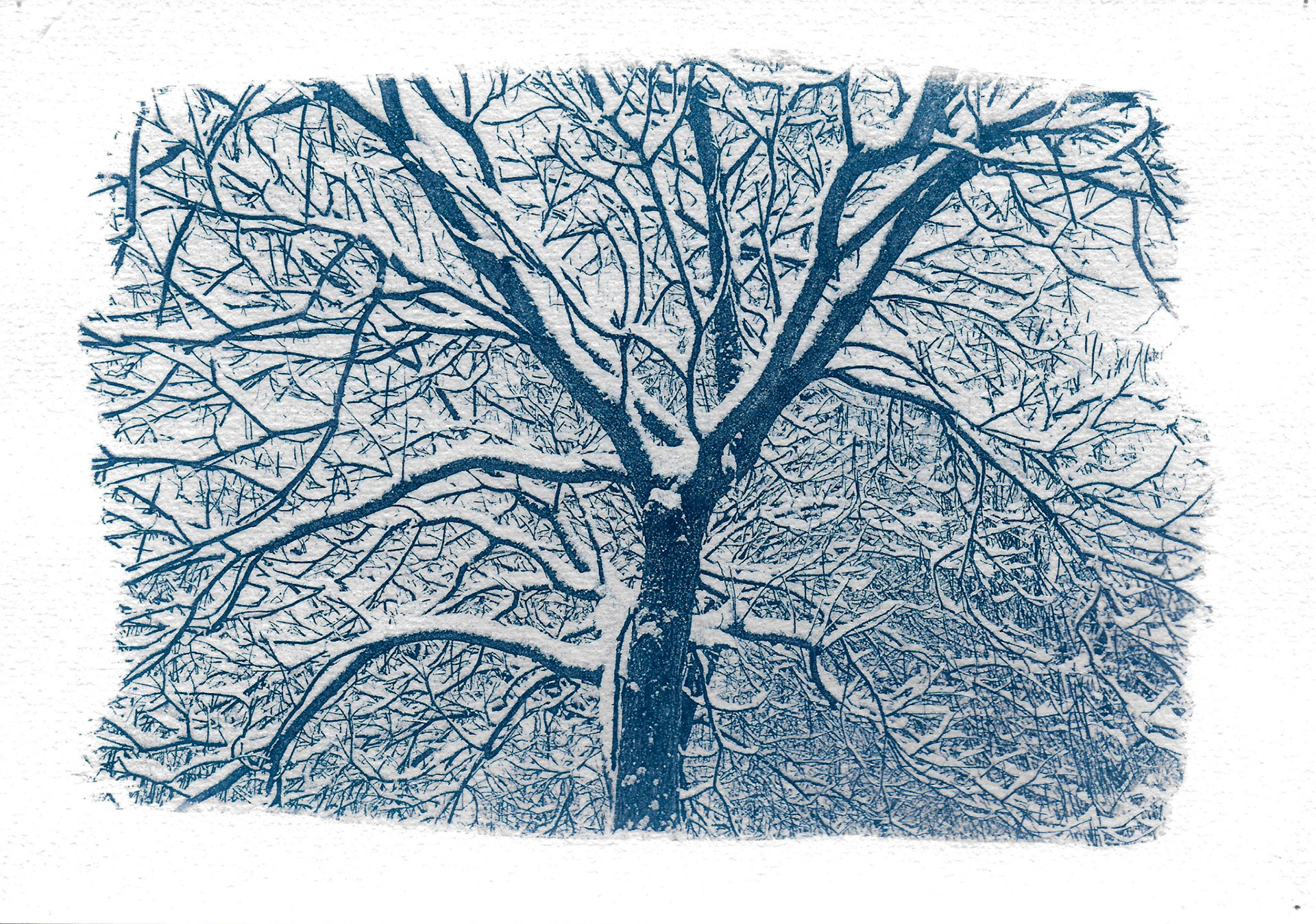 Hiver 2018