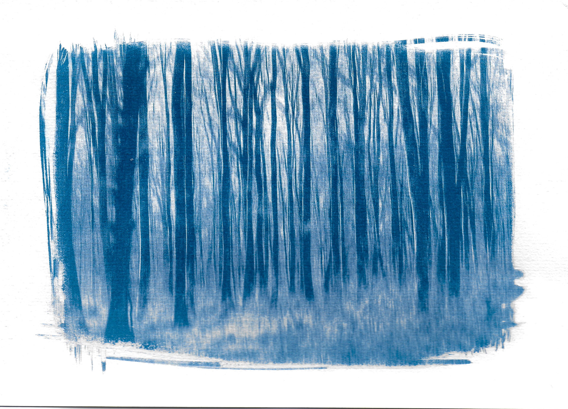 Il y a dans la forêt des bruits qui ressemblent à des paroles. (Forêt de Vibraye)