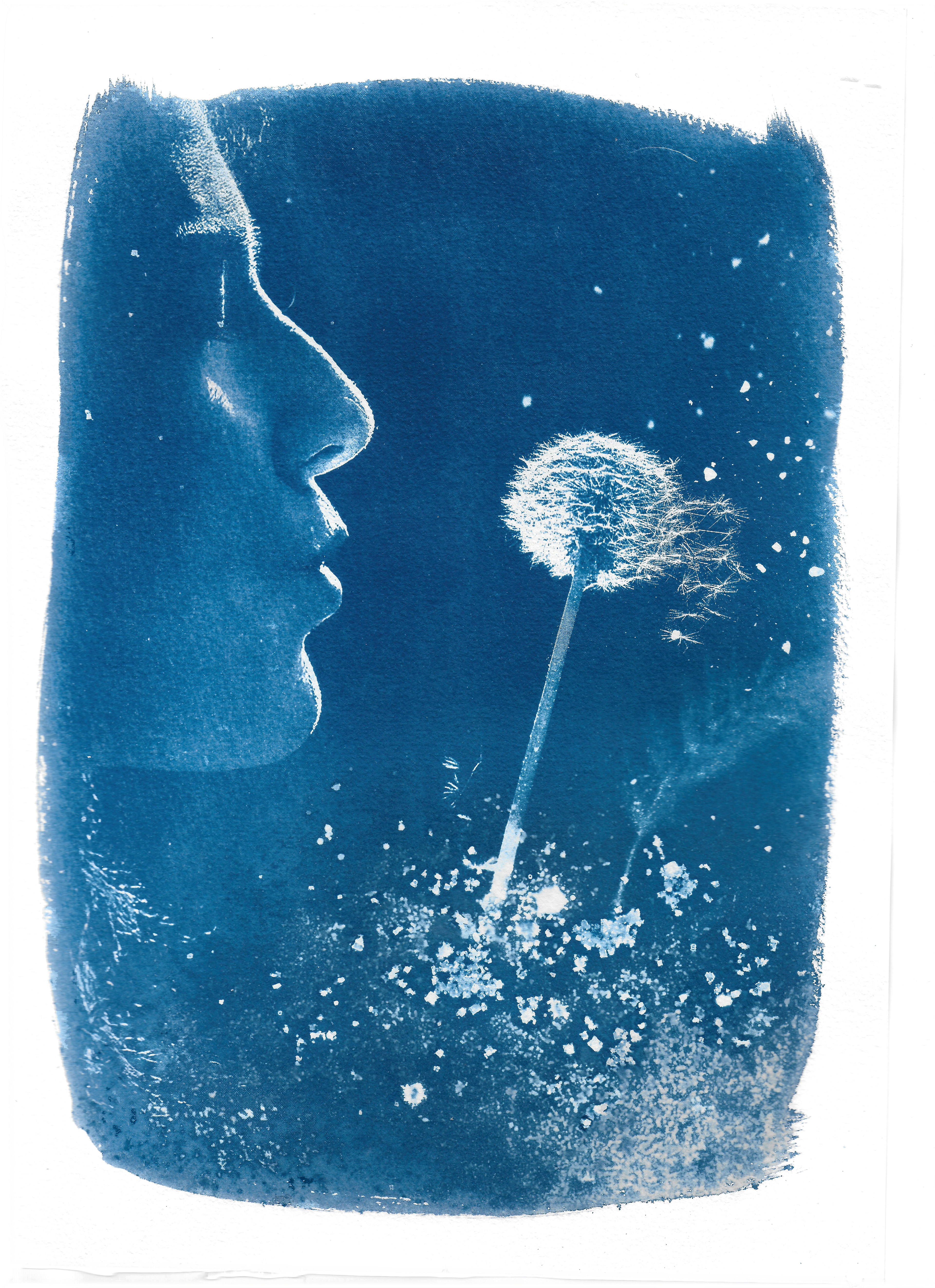 Un vœu en bleu Cette image est née d’un jeu de superpositions, de textures, et de souffle. J’ai mêlé un profil et un pissenlit dans une composition pensée comme un poème visuel, puis j’ai travaillé le négatif pour le transférer en cyanotype, sur papier aquarelle. Le bleu profond du procédé révèle ici l’intangible : un souffle, un vœu, une dispersion de pensées. Ce que j’aime dans ces tirages, c’est qu’ils sont à chaque fois uniques entre contrôle et imprévu, pigments et lumière.