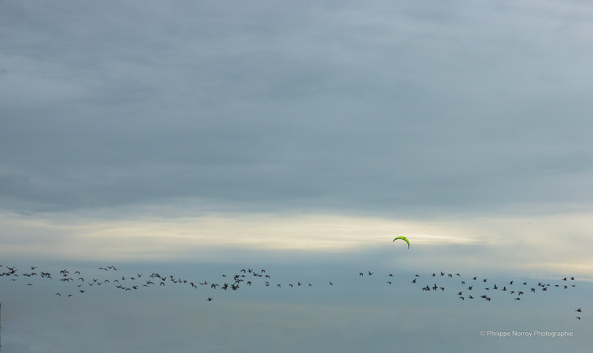 Par dessus l'étang, Soudain j'ai vu Passer, les oies sauvages ...