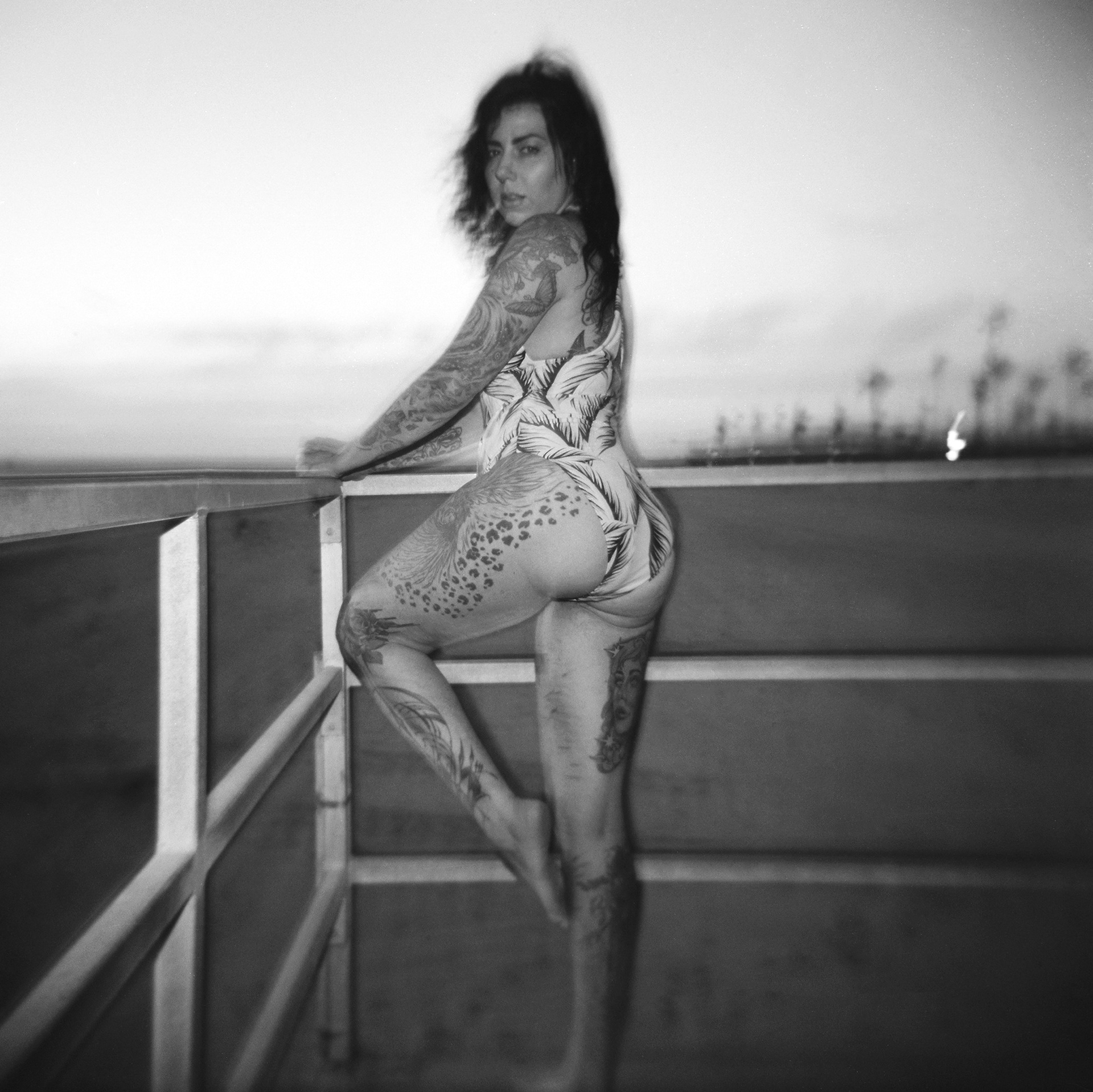HOLGA 120N | KODAK TMAX100