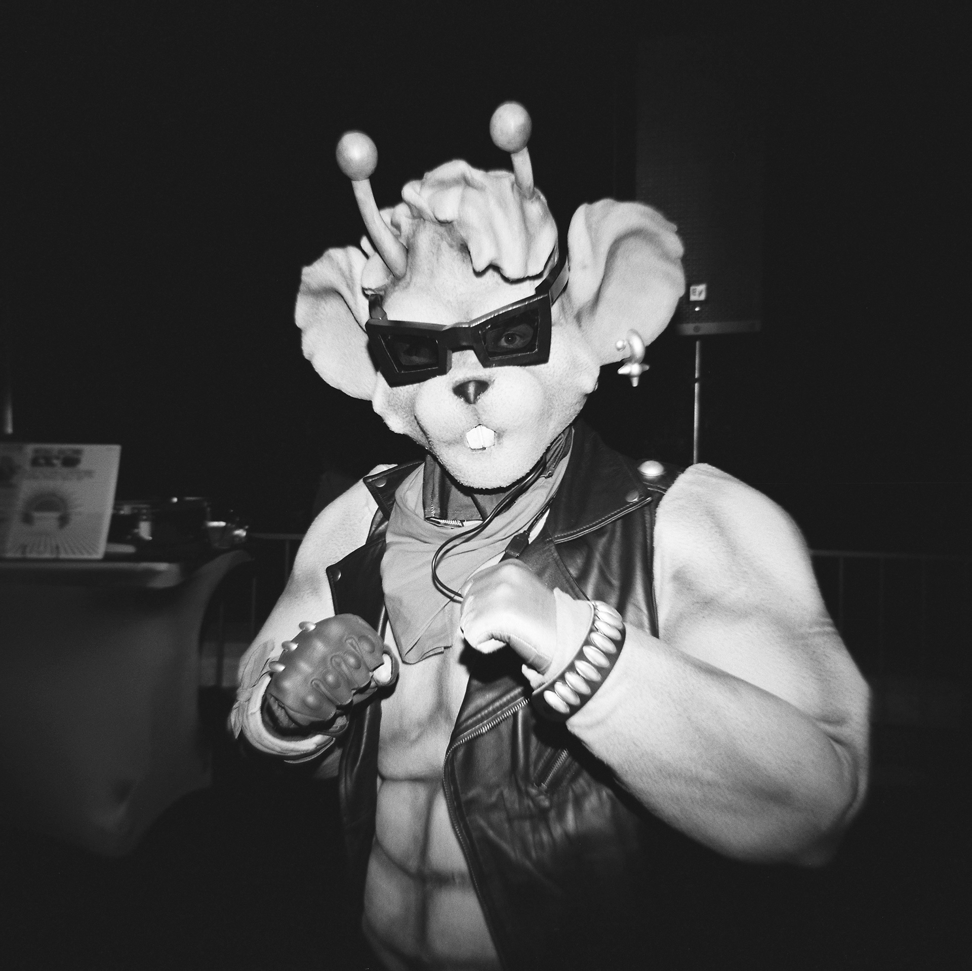 HOLGA 120N | KODAK TMAX 100