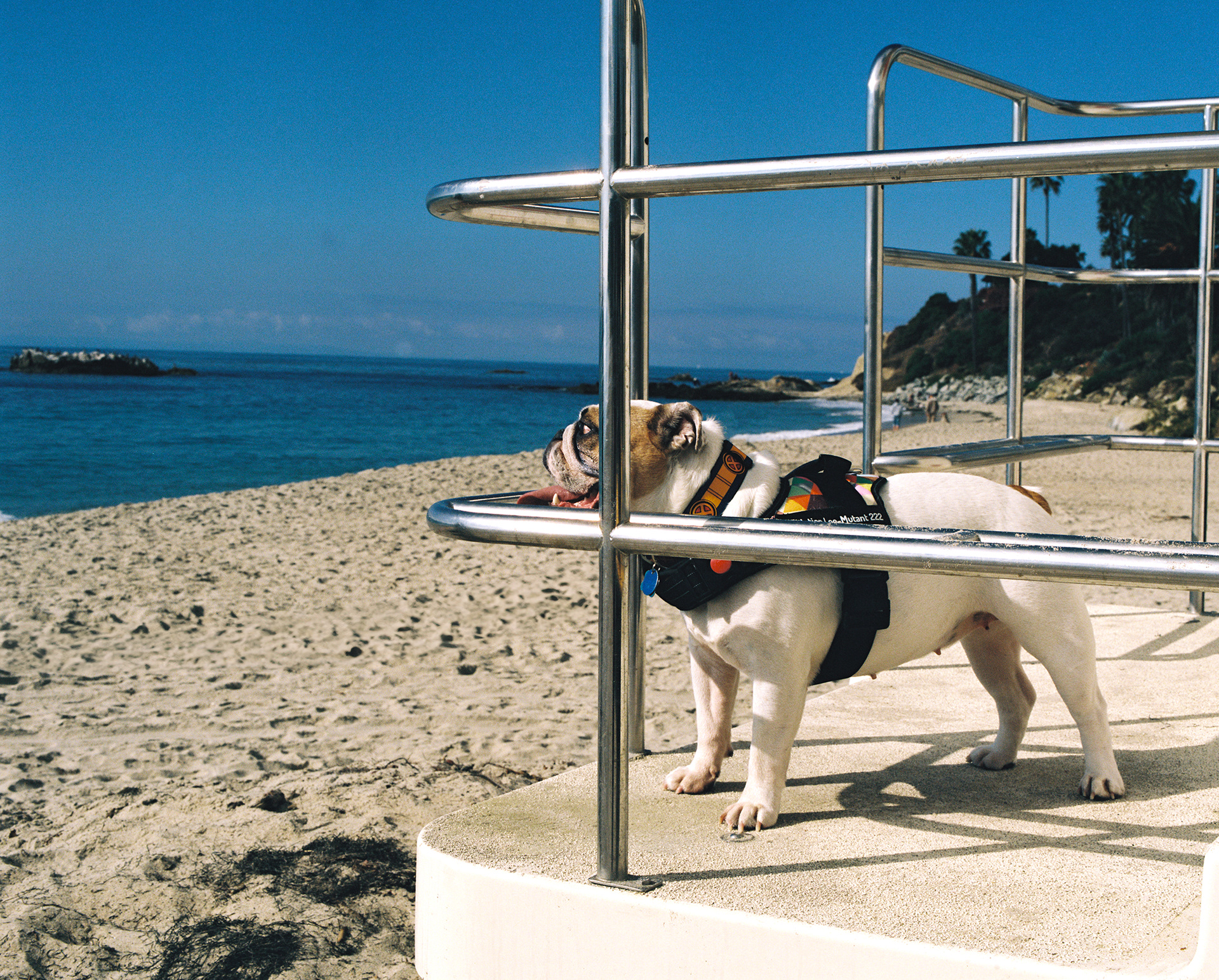 PENTAX 6X7 | KODAK PORTRA 400