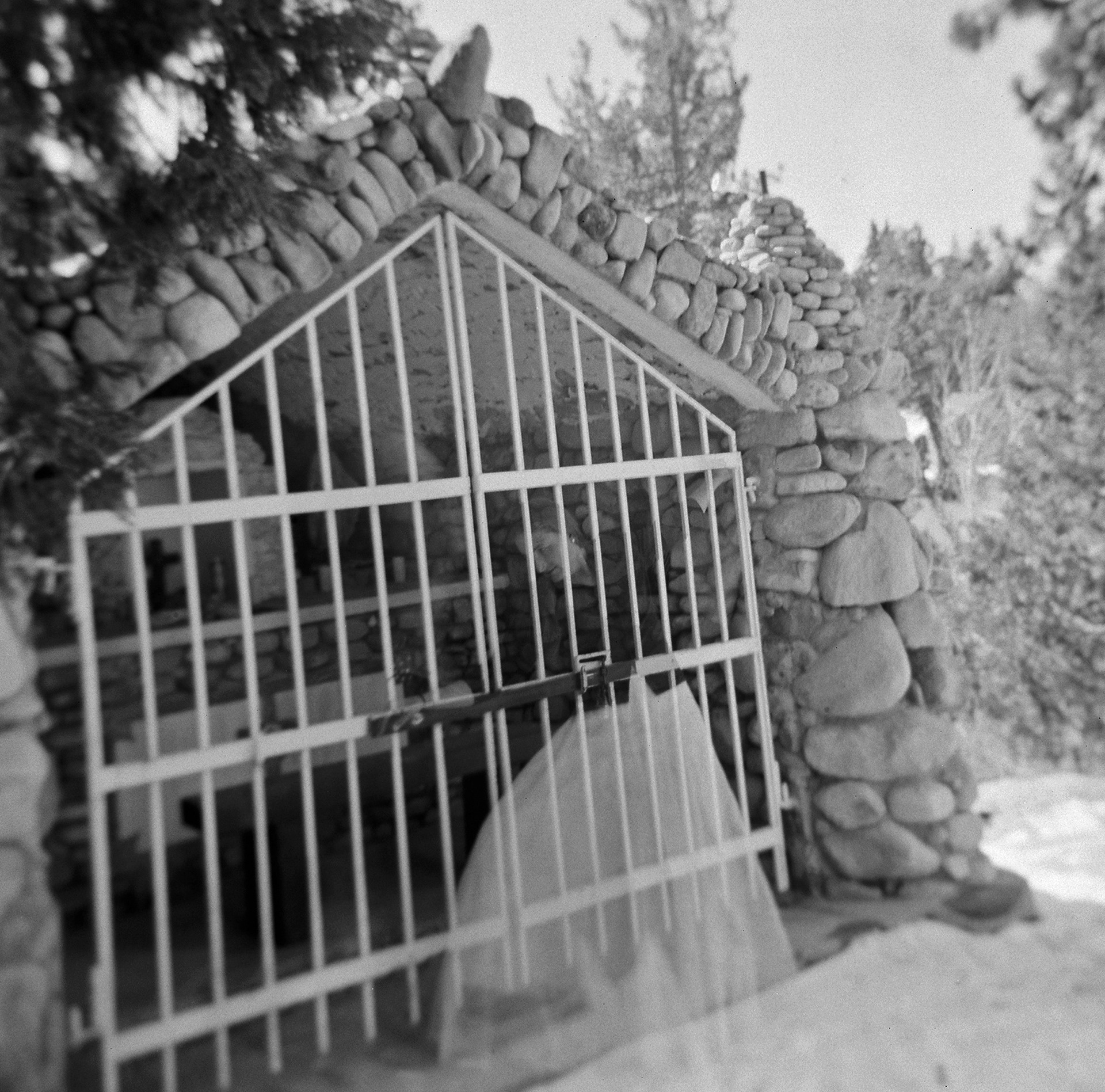 HOLGA 120N | KODAK TMAX 400