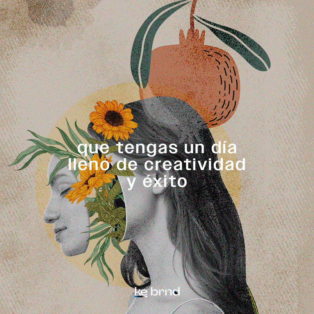 Feed