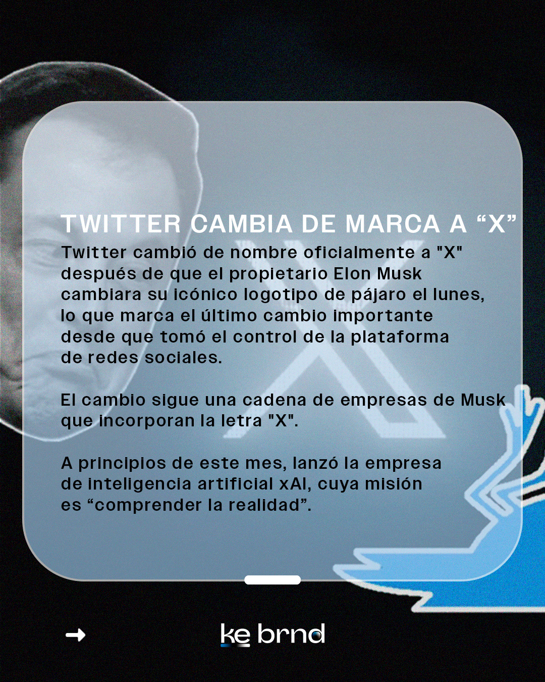 Feed