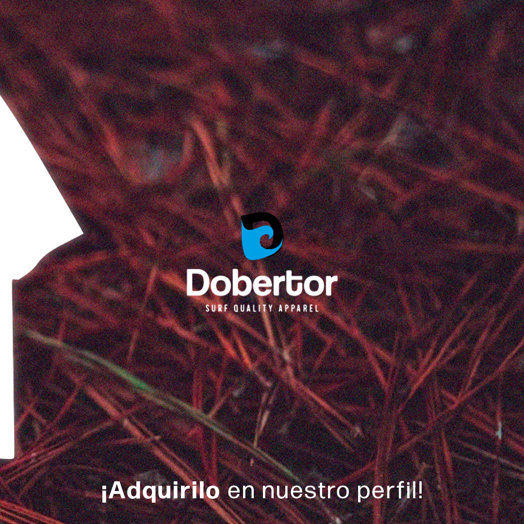 Carrusel | Feed