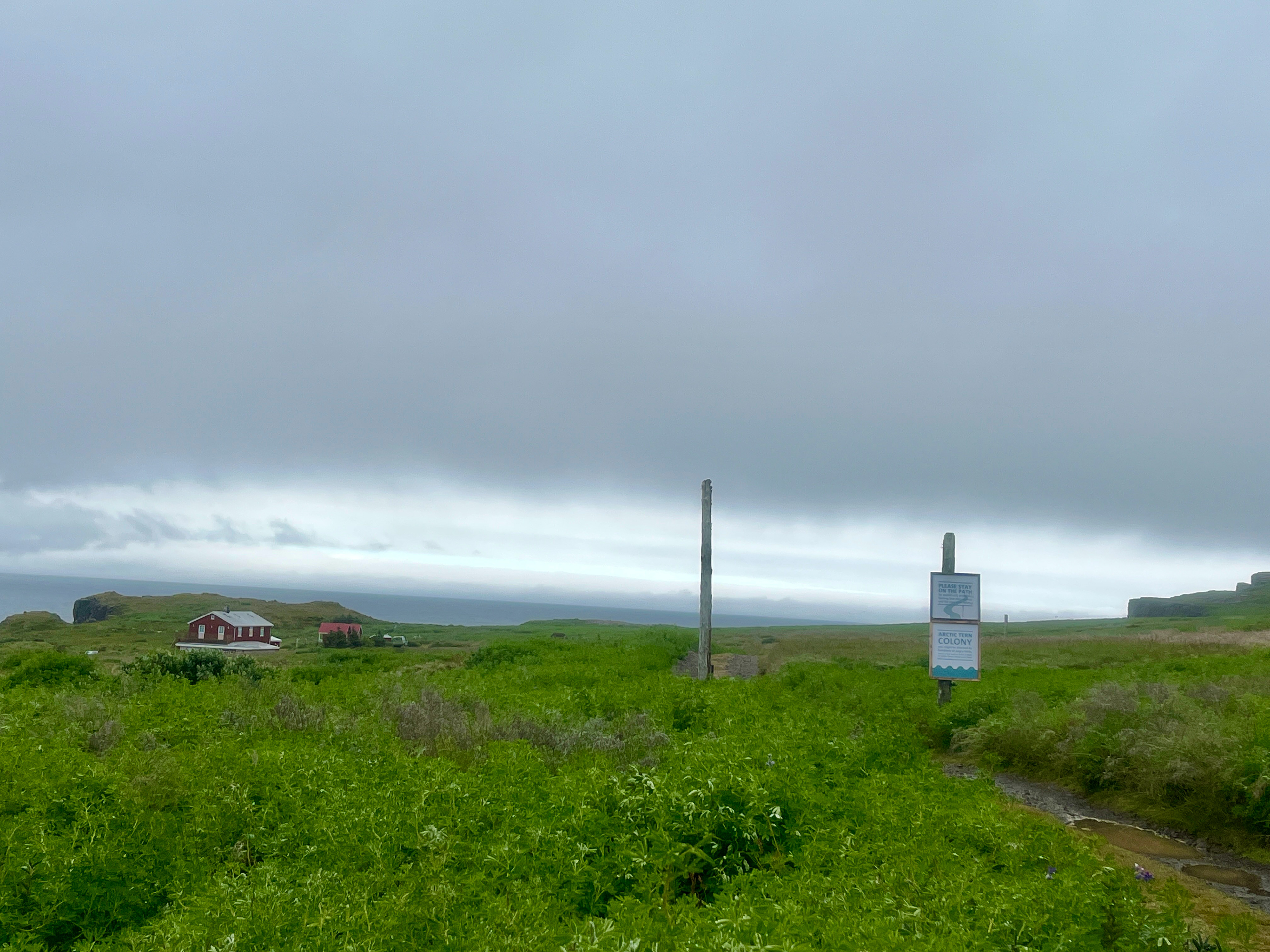 The sign warns of the angry, nesting Arctic terns!
