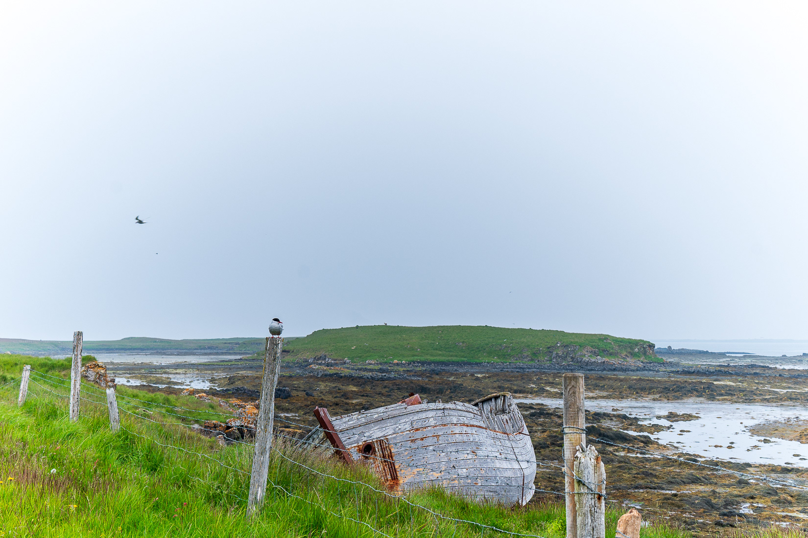 Shipwreck
