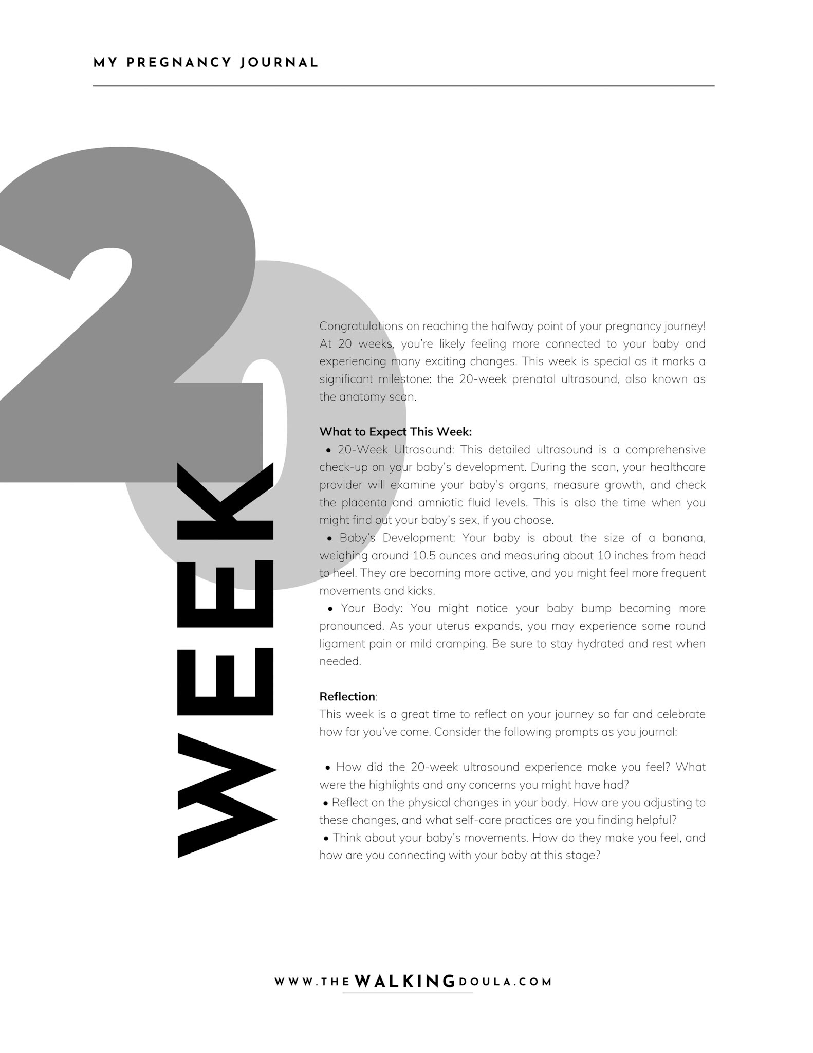 AMW: Pregnancy Journal (8.5 x 11 in) - 8