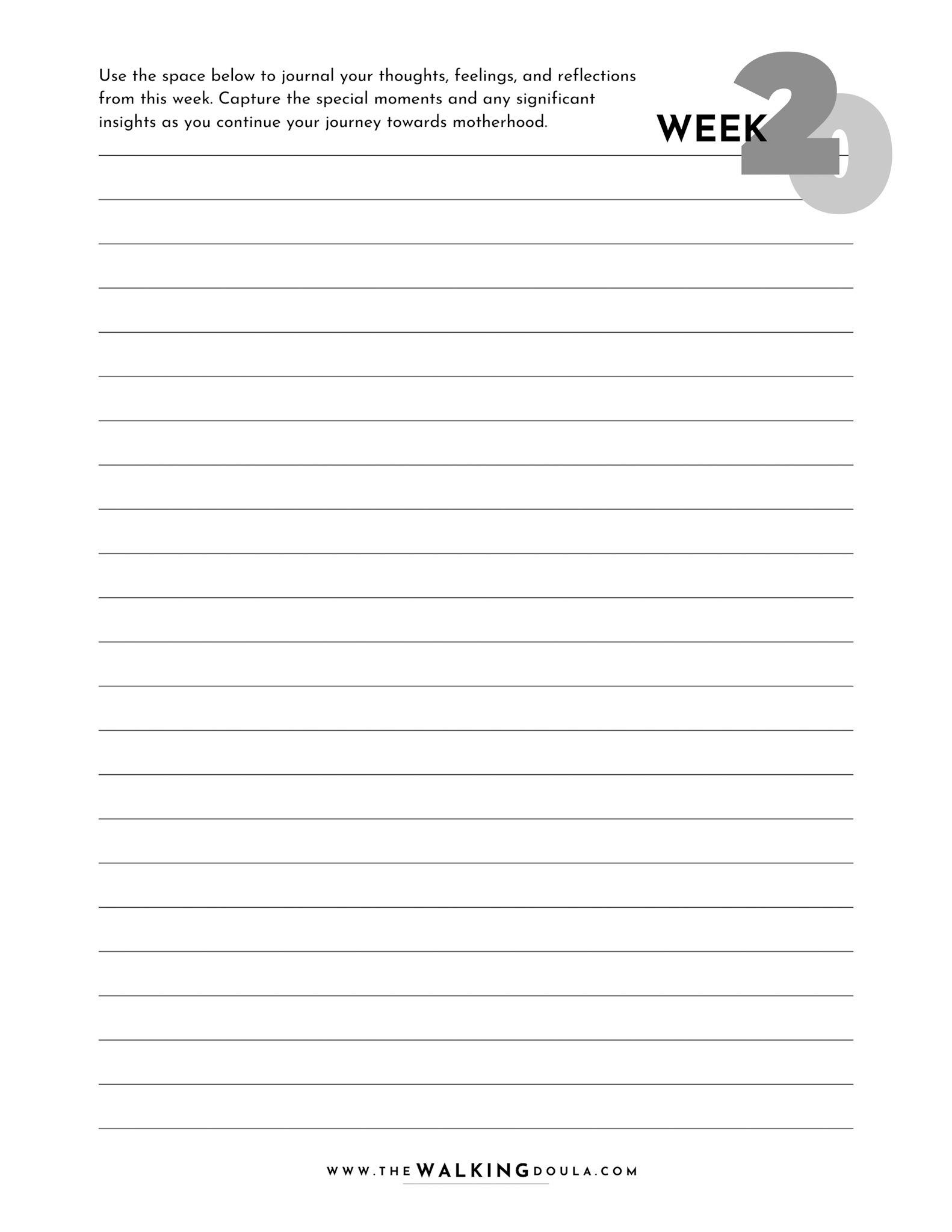 AMW: Pregnancy Journal (8.5 x 11 in) - 10
