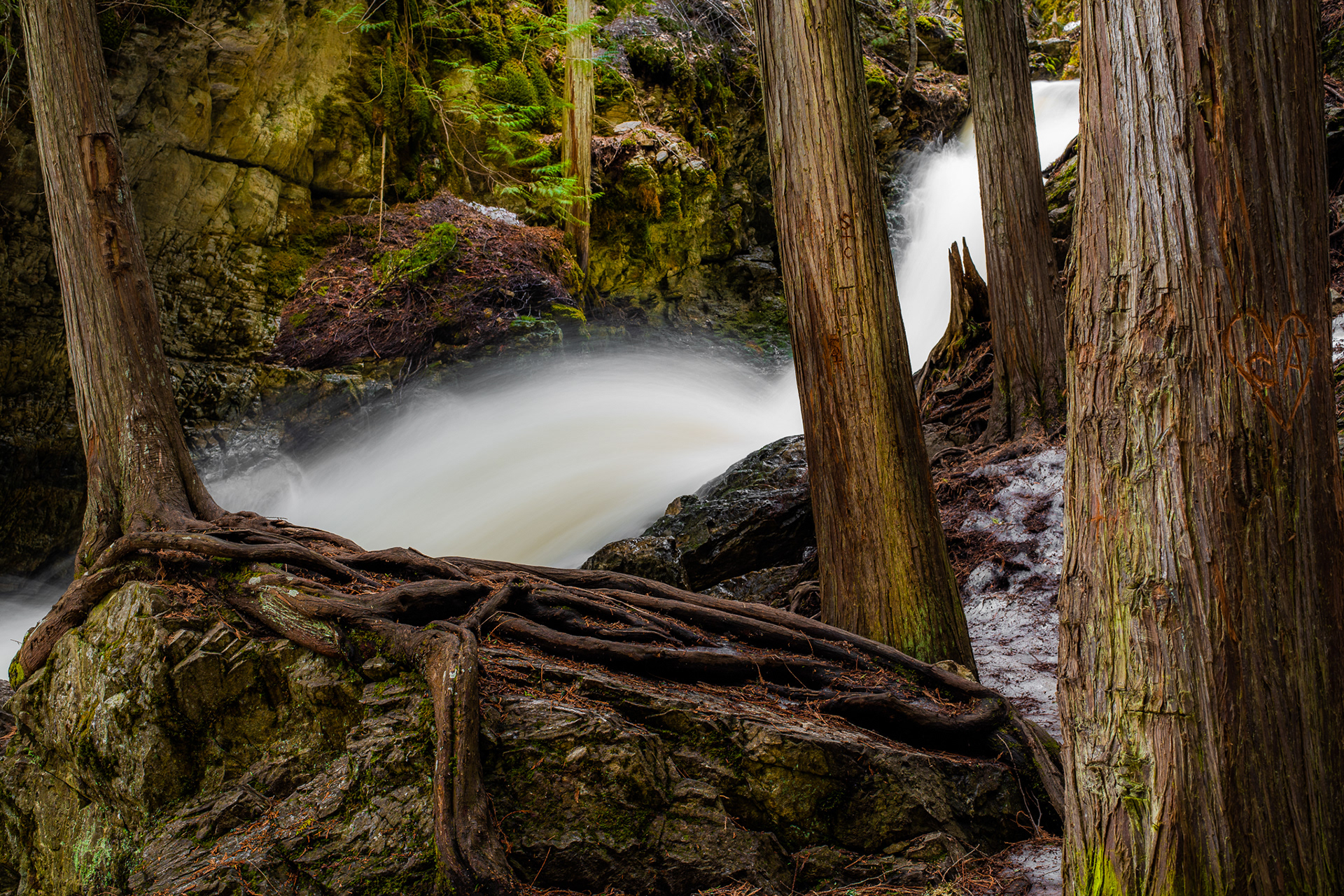 13: BX Creek Falls, Vernon BC