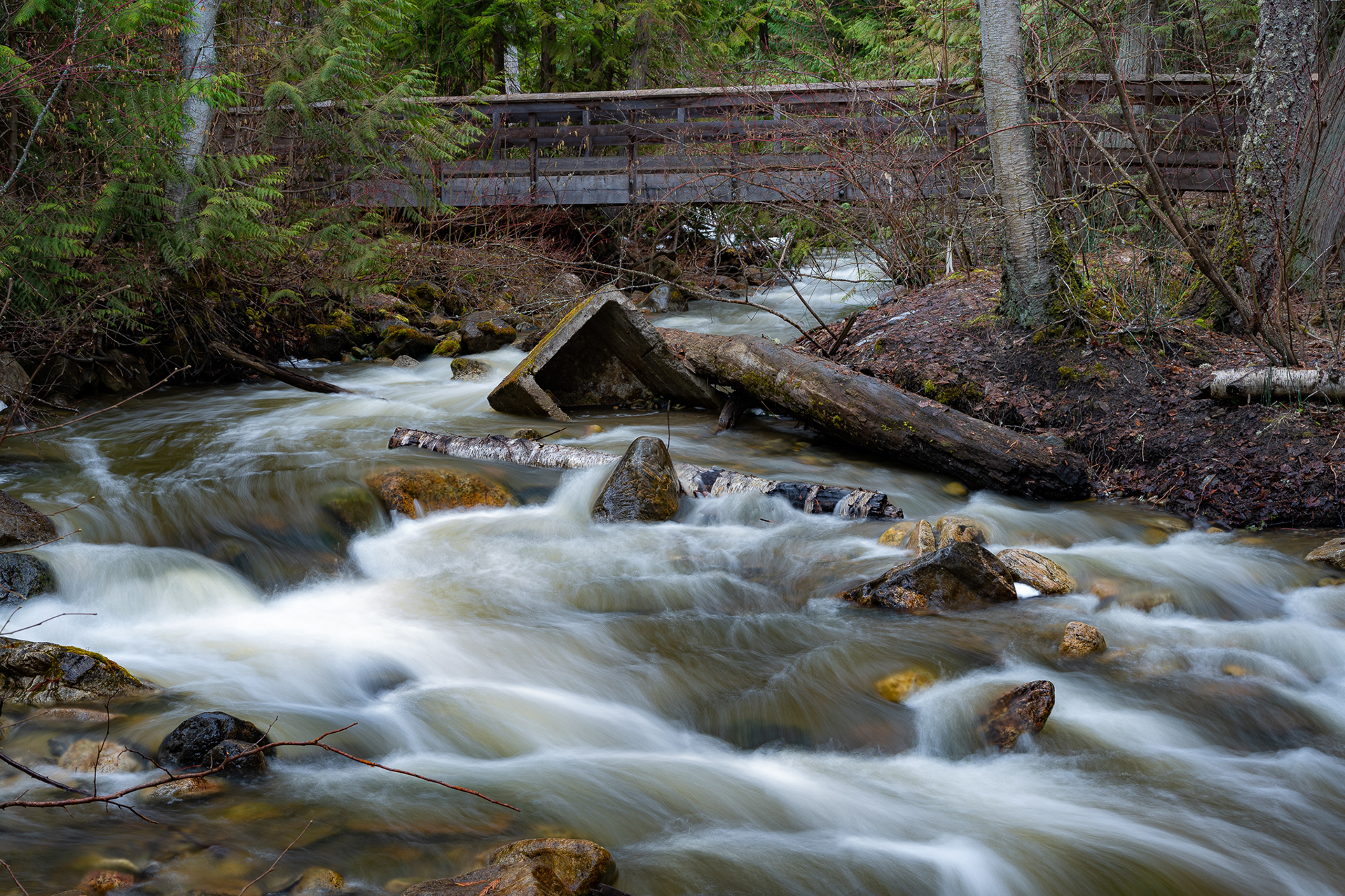 12: downstream from the BX Creek Dam, Vernon BC