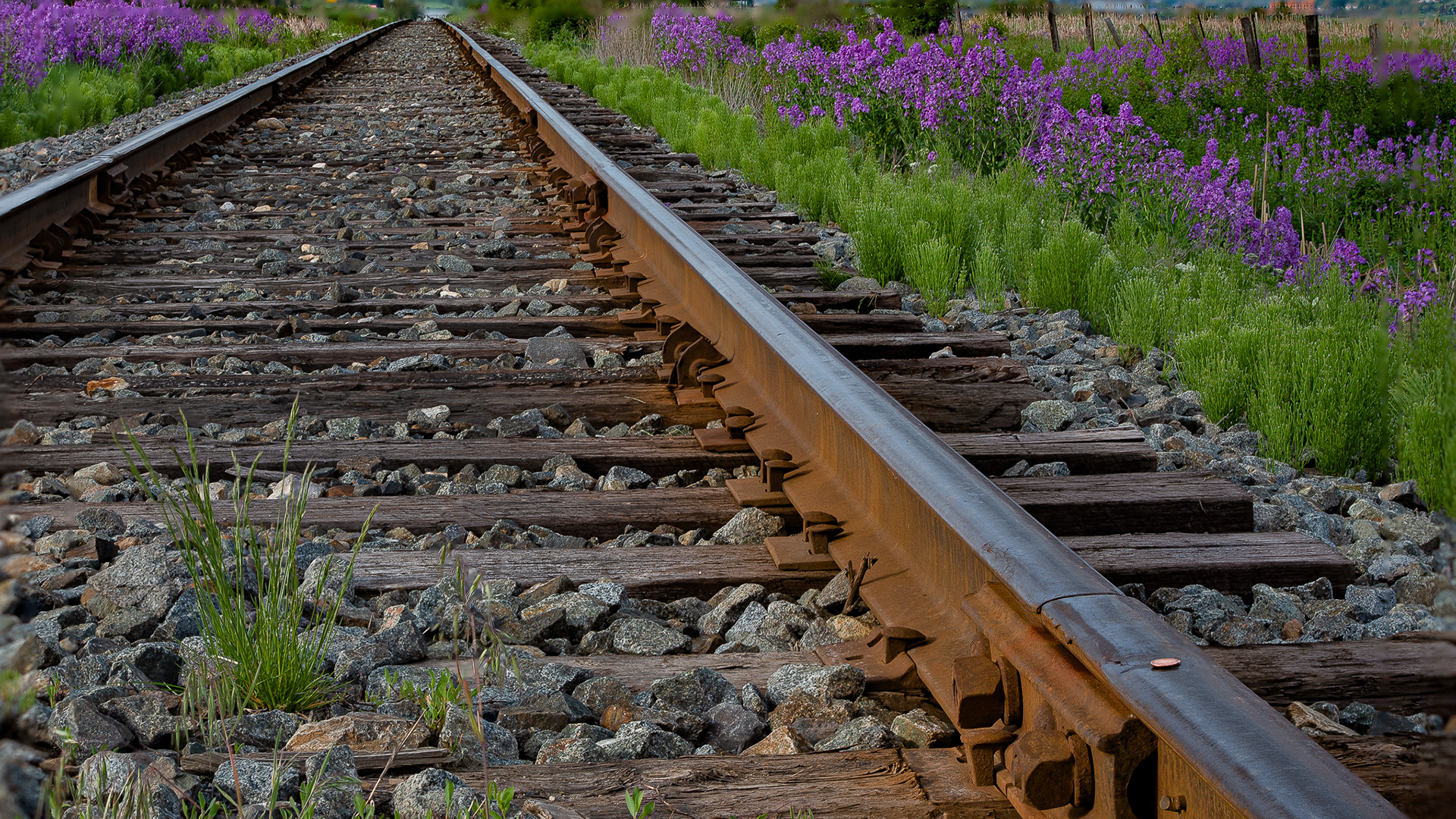 23: Penny for your thoughts...at the tracks....Swan Lake, Vernon BC