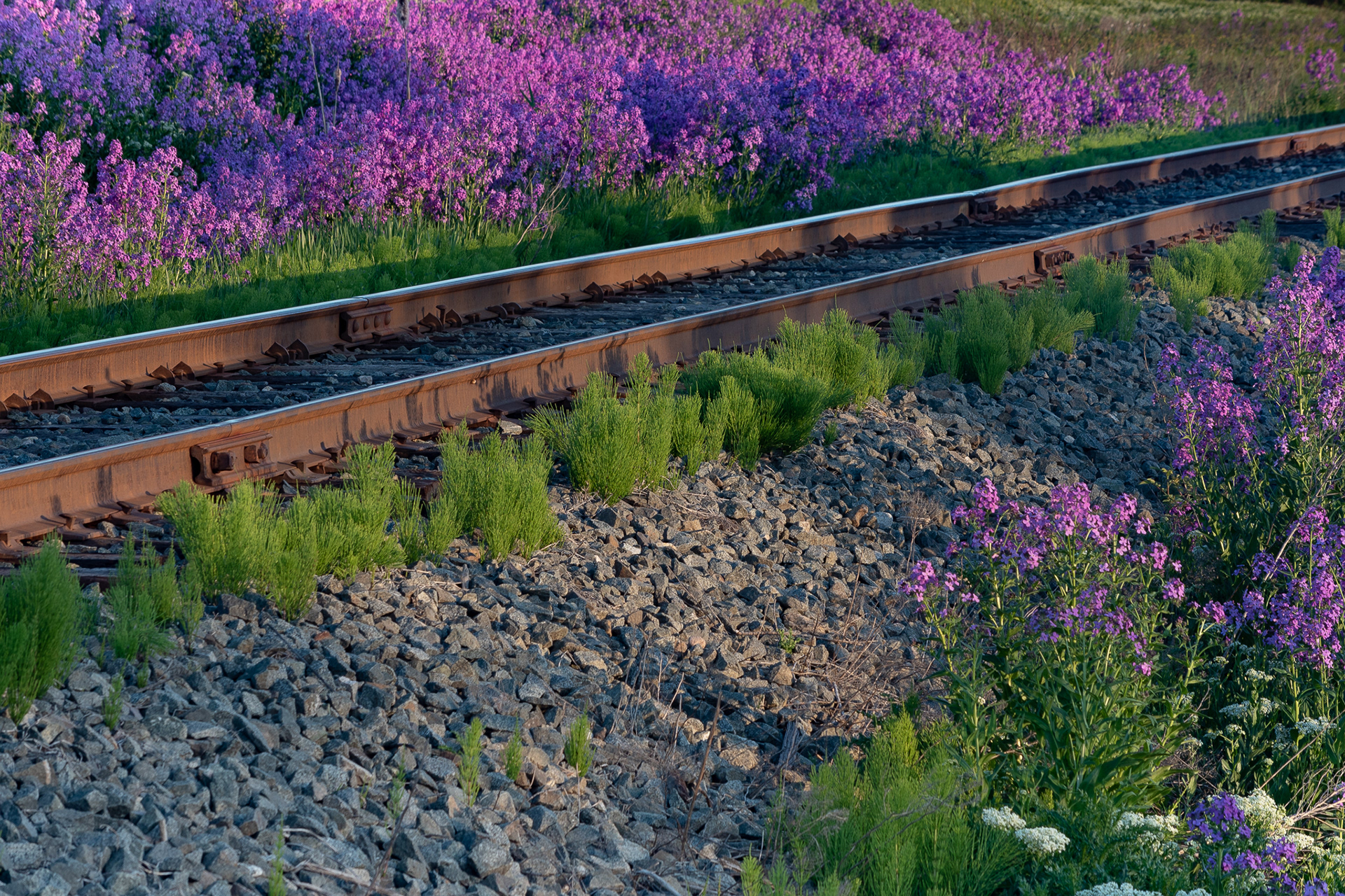 21: Evening at the tracks....Swan Lake, Vernon BC