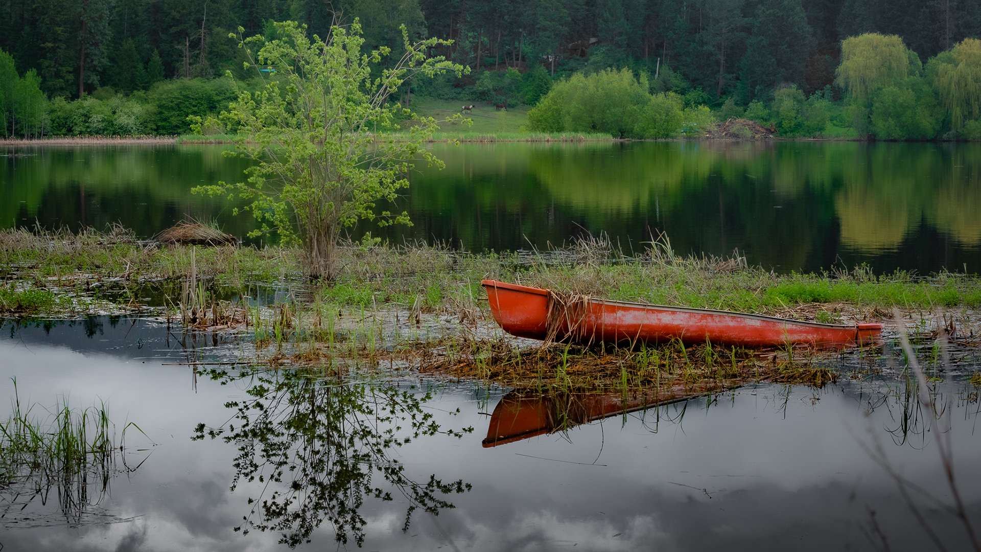 20: Cloudy and overcast but plenty of color...Otter Lake Spallumcheen BC