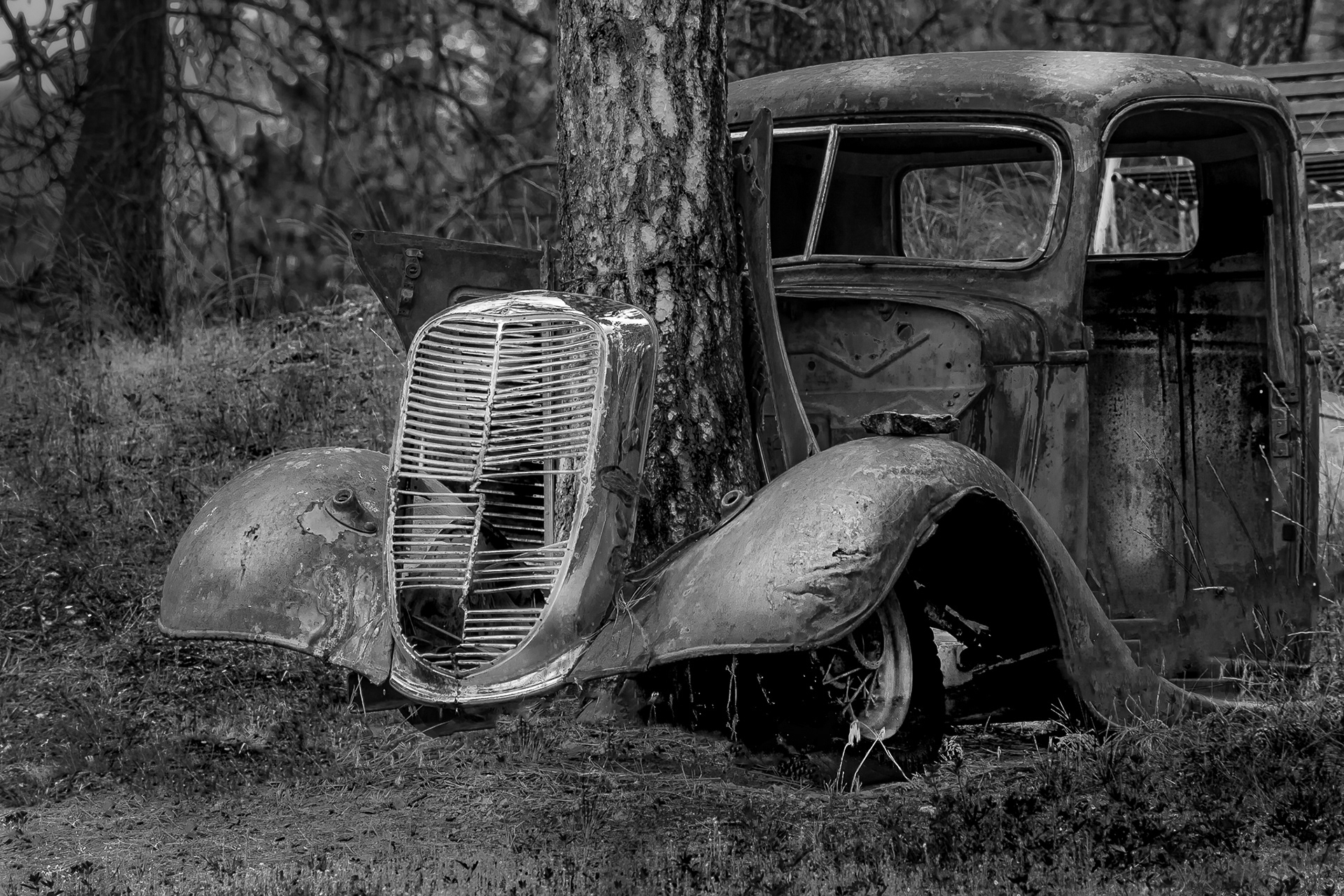 31: Root 66...a gem on a rural property near OK Falls BC