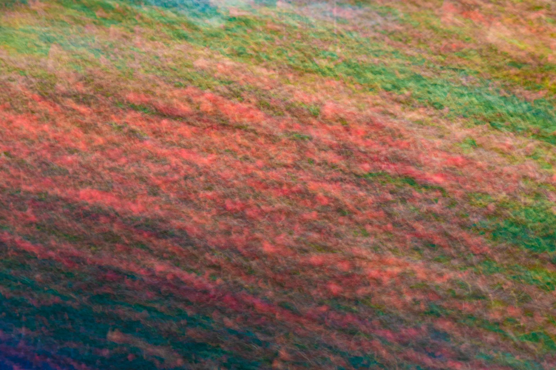 57: Abstract Orchard...ICM (intentional Camera Movement) of apple orchards in Coldstream BC