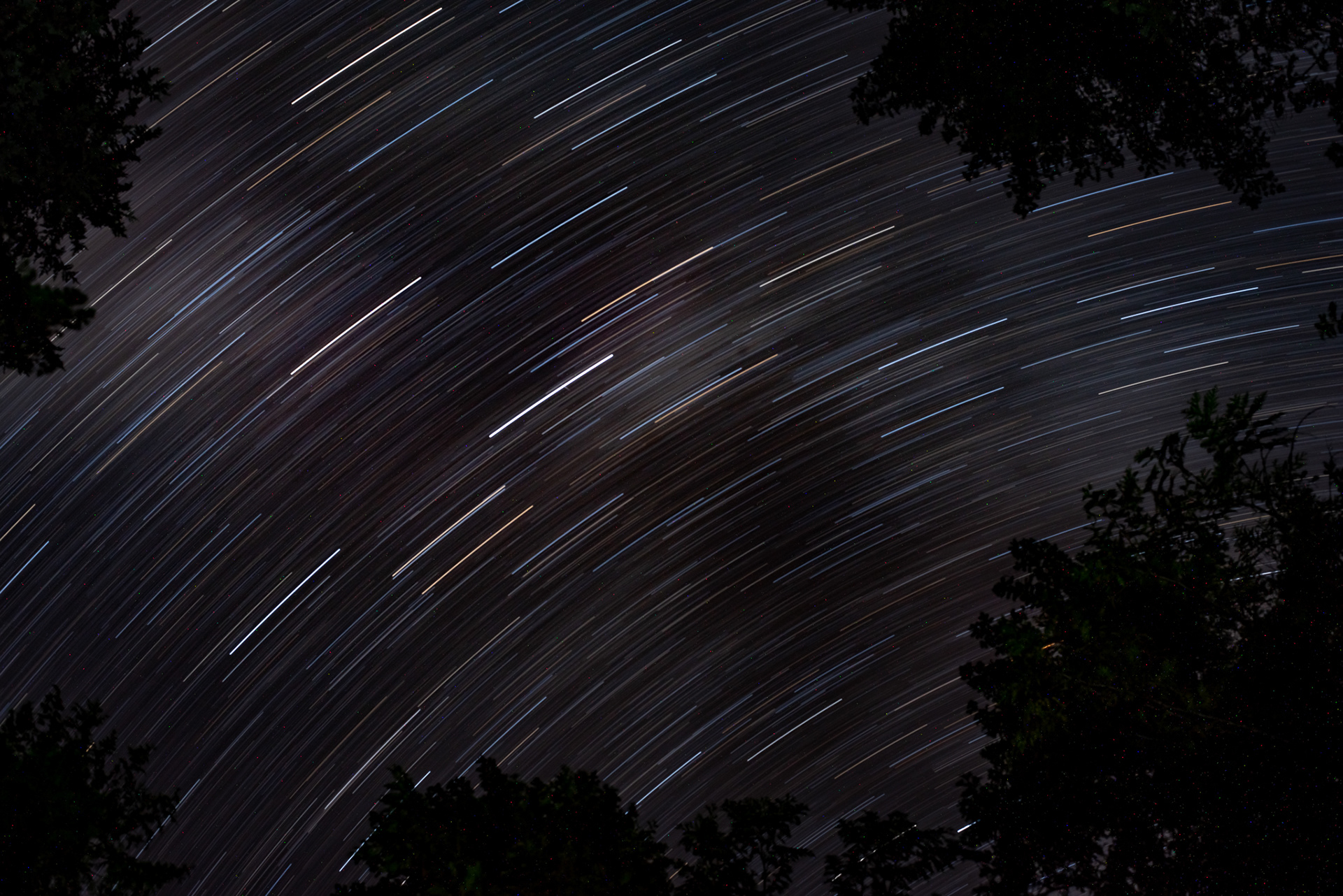 48: Star Trails...very long exposure taken while camping at Rosebury BC