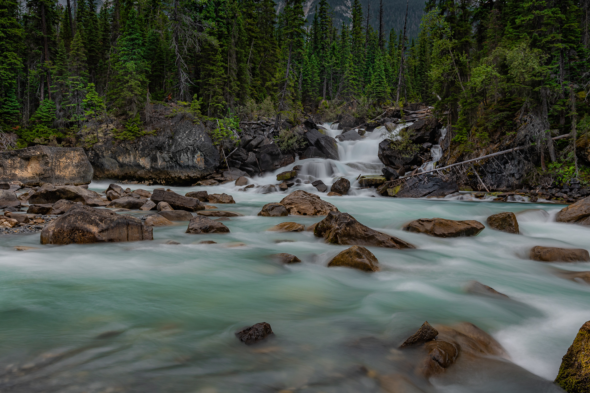 45: Where the Rivers Meet..Yoho National Park Bc