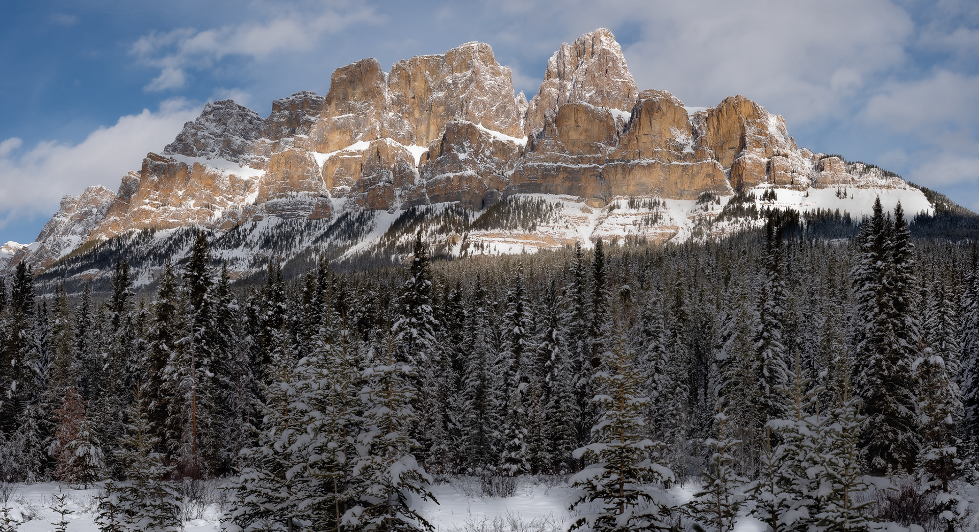 5: Castle Mt as seem from Route 1A near Lake Louise