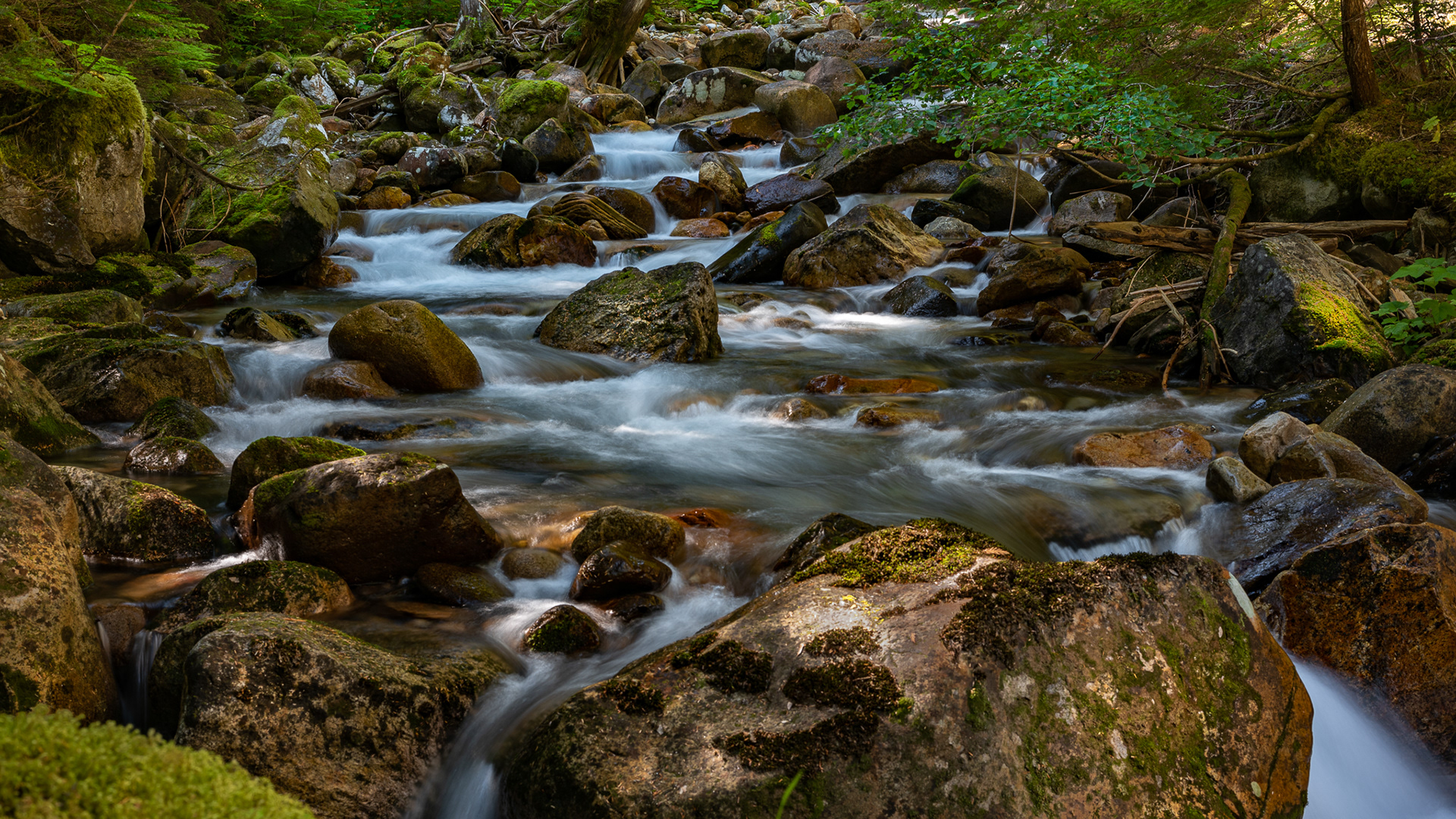 49: Wee Sandy Creek...Valhalla Provincial Park near New Denver BC