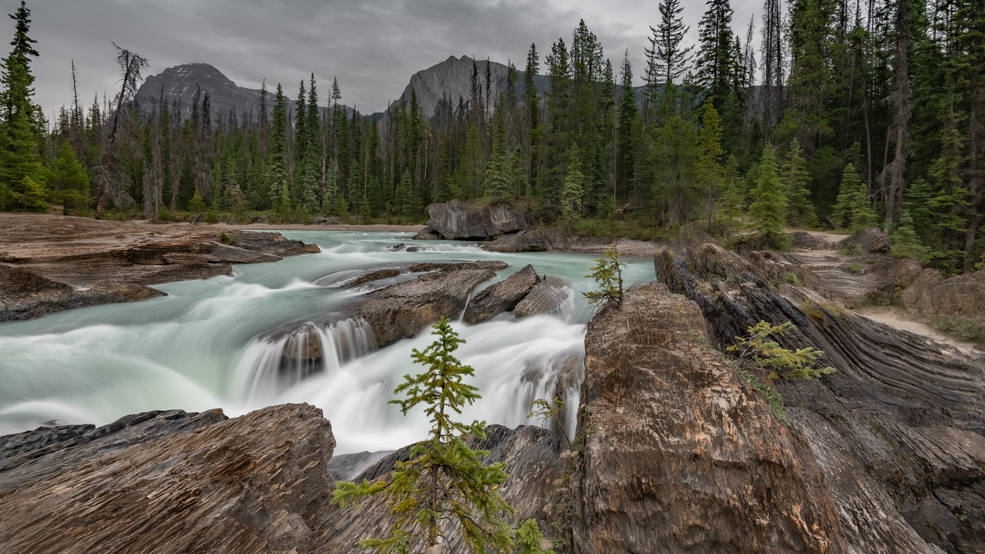 43: Natural Bridge, Yoho National Park BC