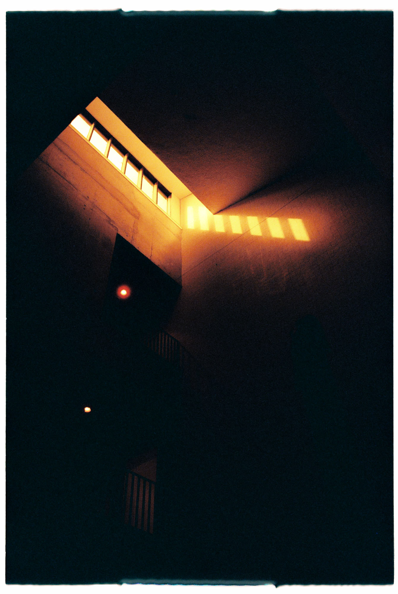 Redscale in the Liverpool Bluecoat
