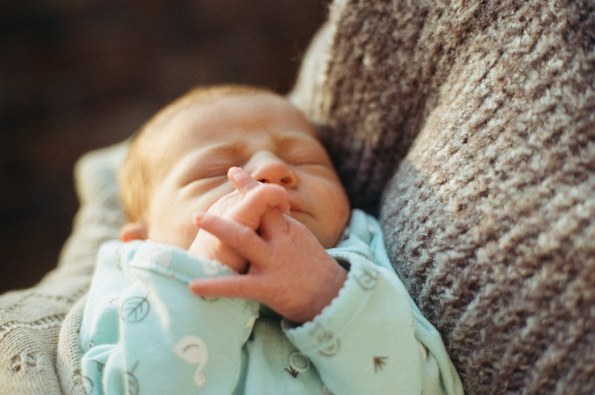 Ada, as fresh as they come