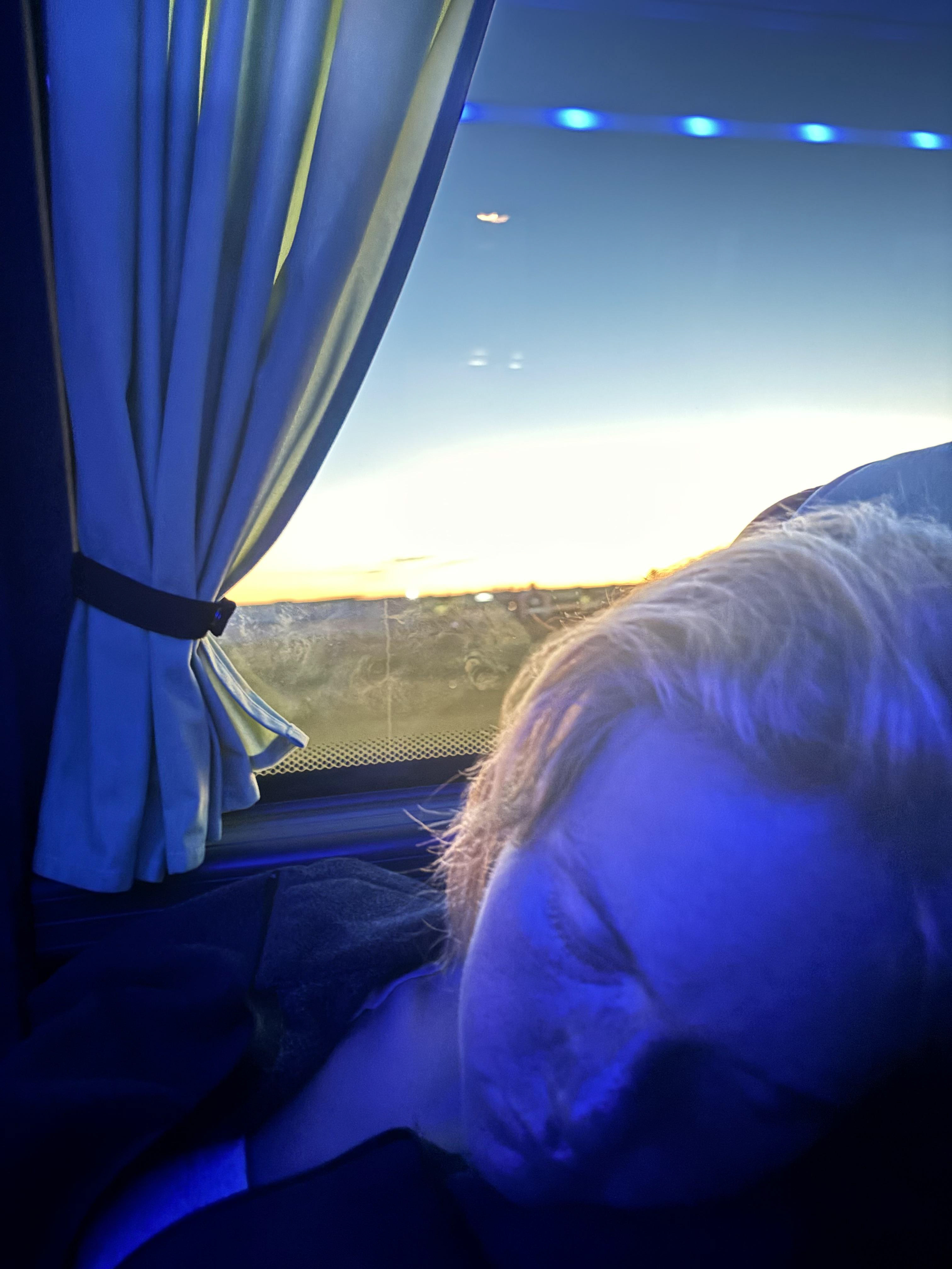 Overnight Flix to Berlin