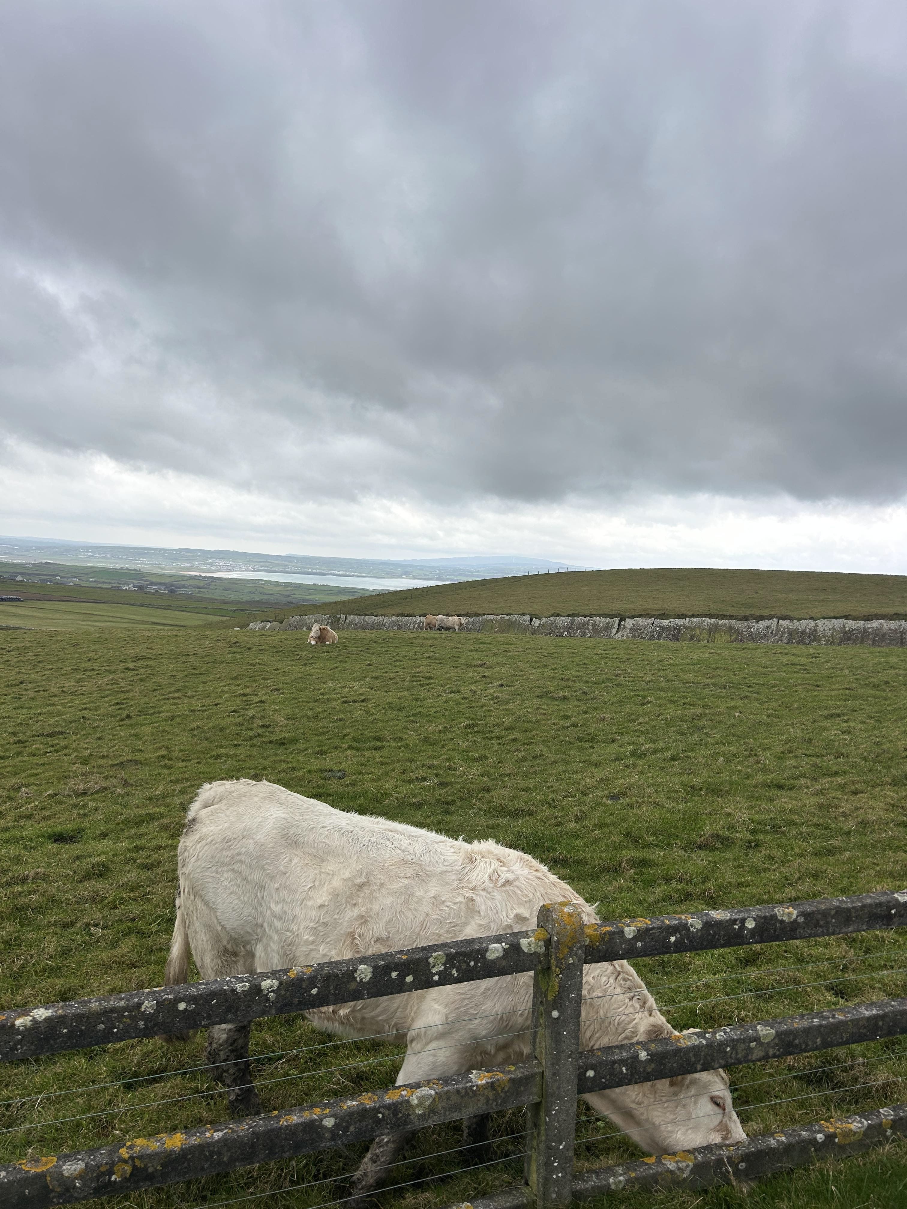 Jazz music was played