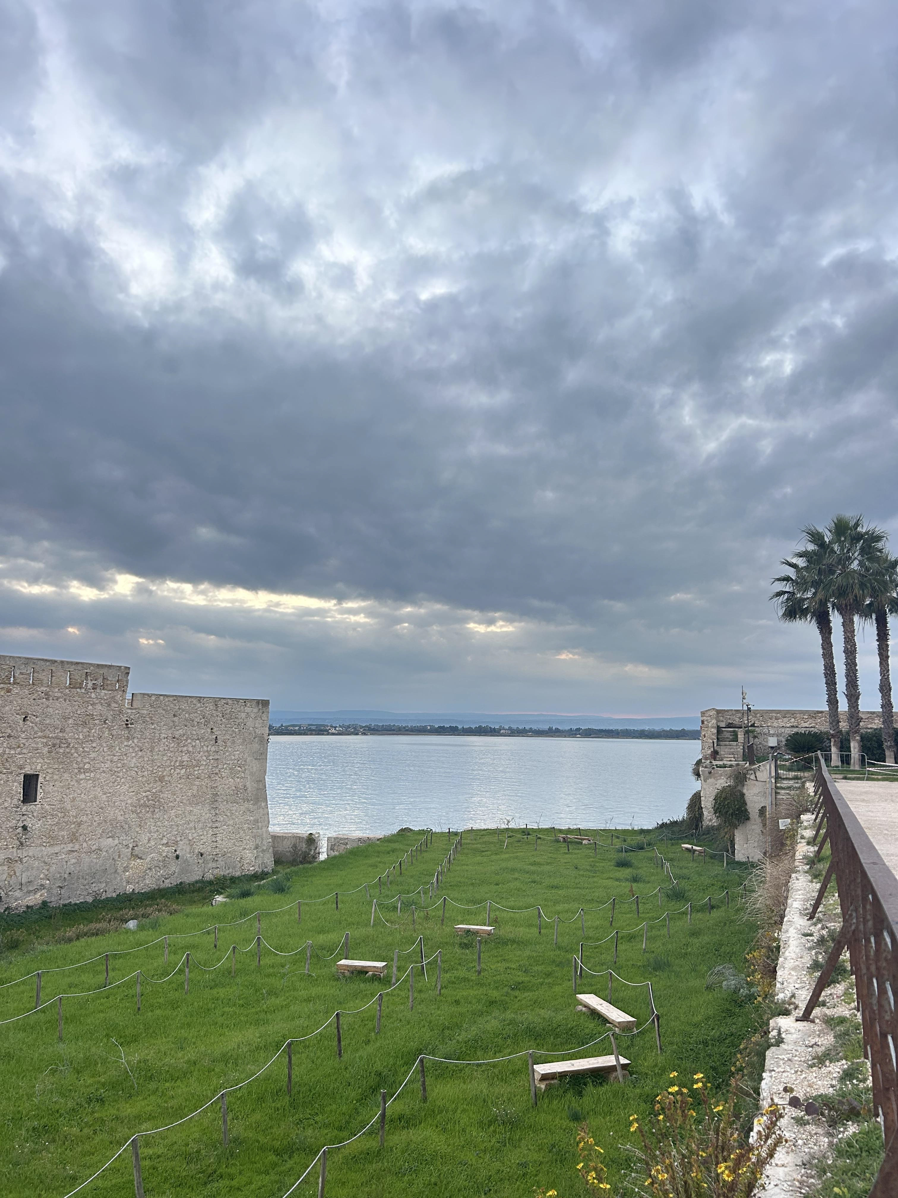 Grass as green as Ireland