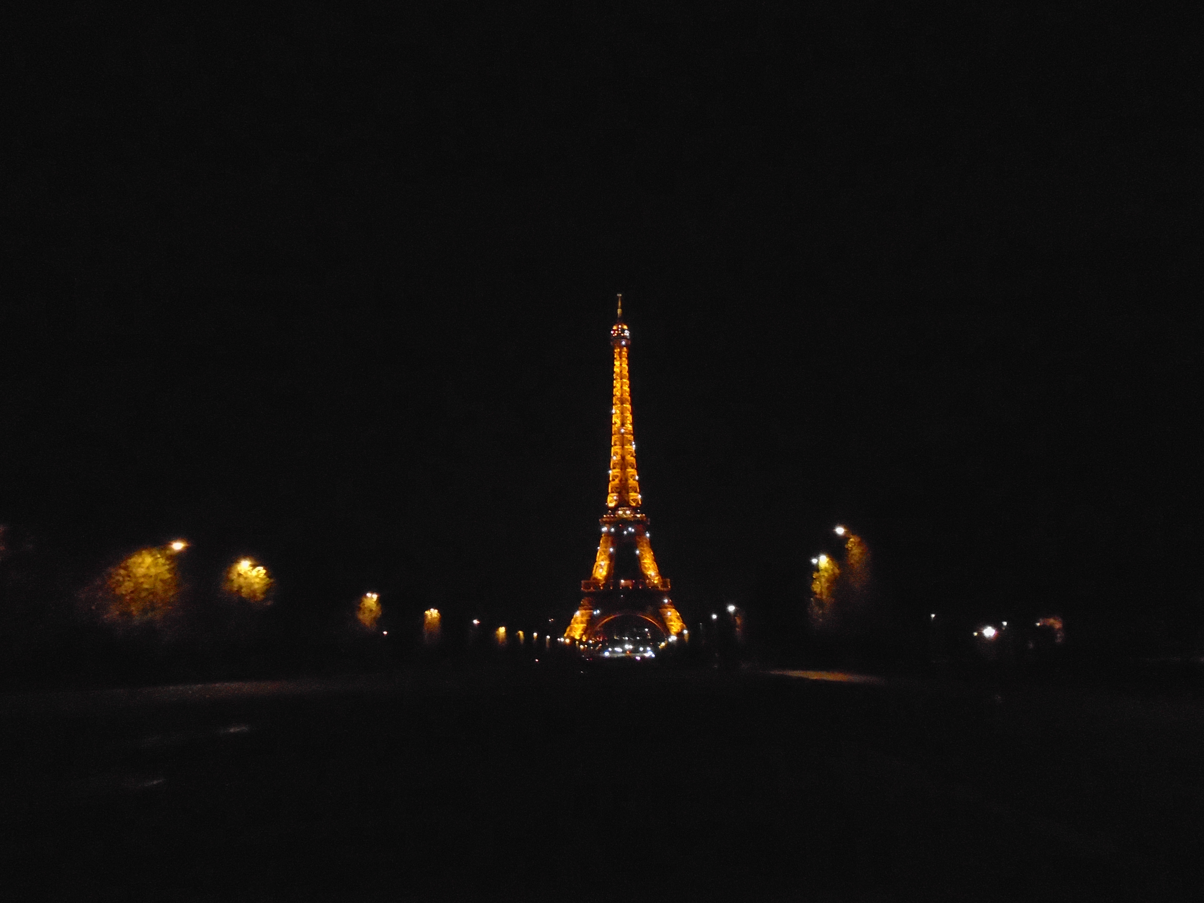 HB and I climbed the side of the Eiffel Tower