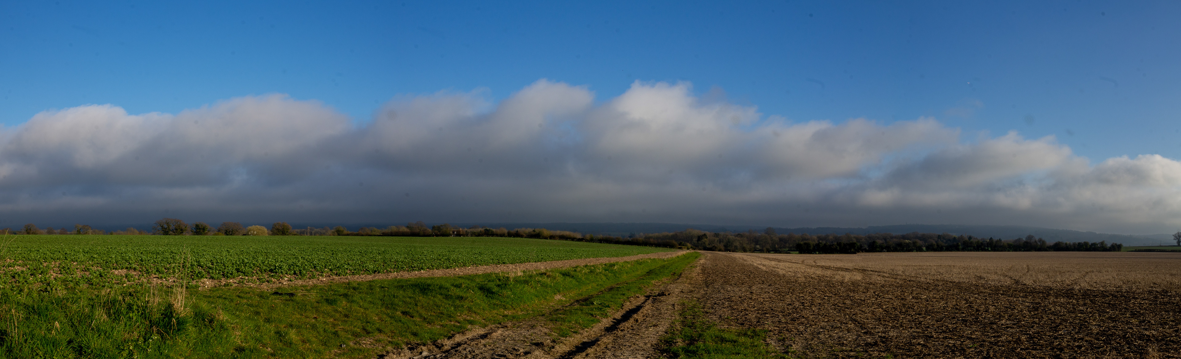 Farmland
