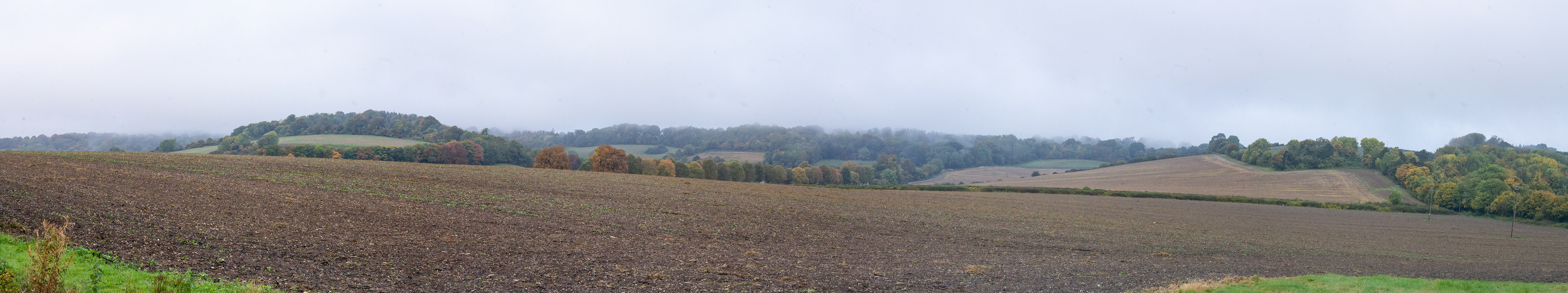 North Downs