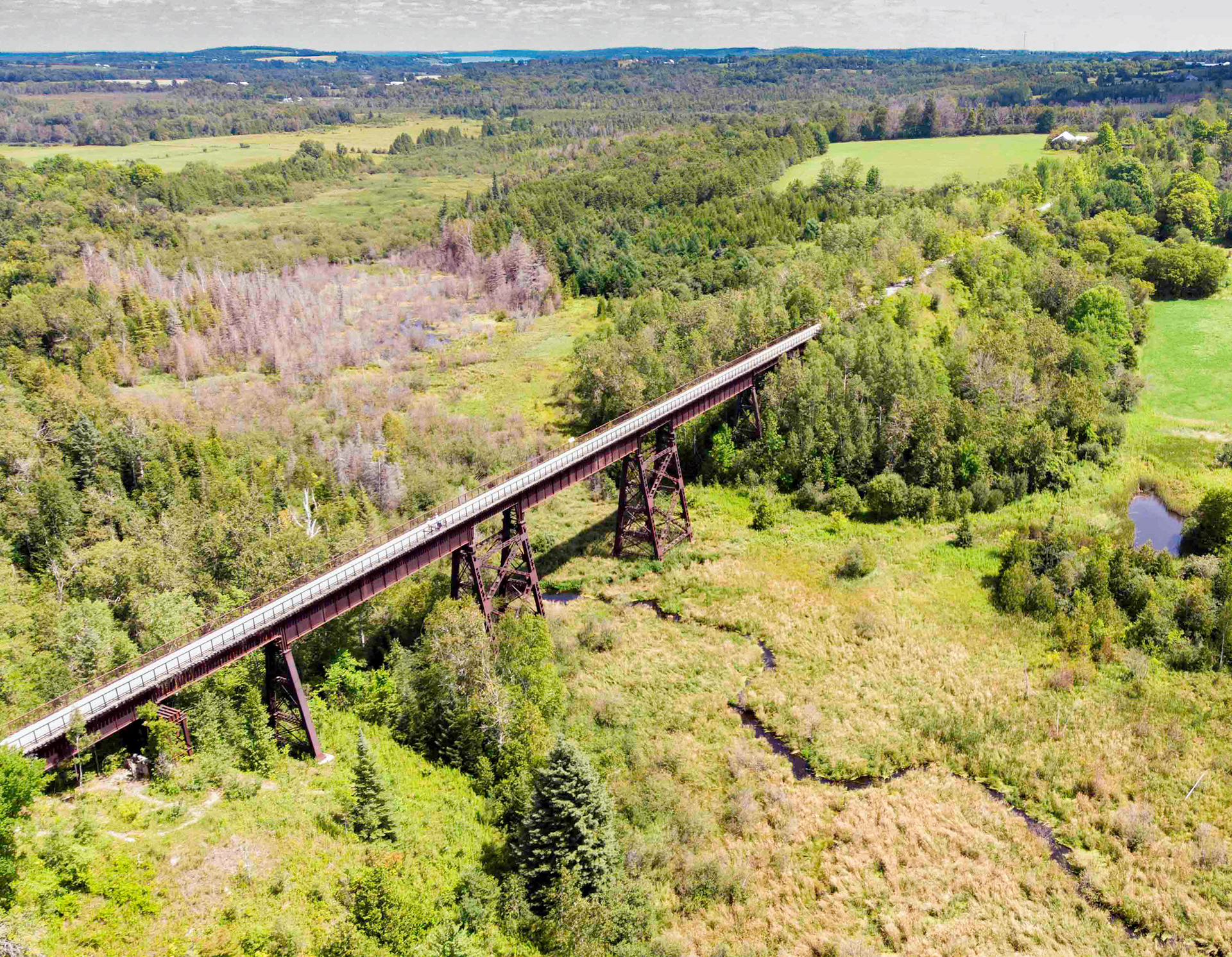 Doube's Trestle Bridge