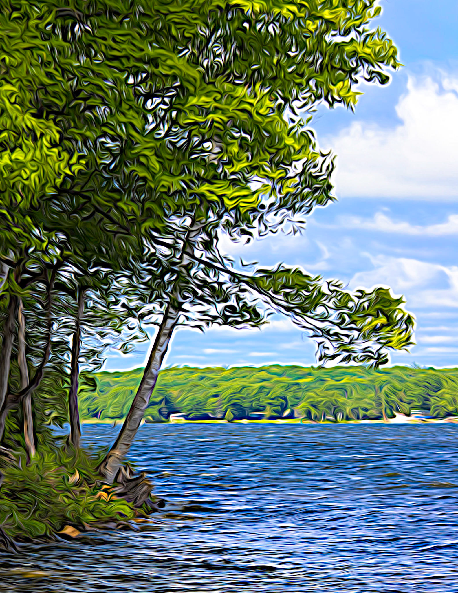 Buckhorn Lake