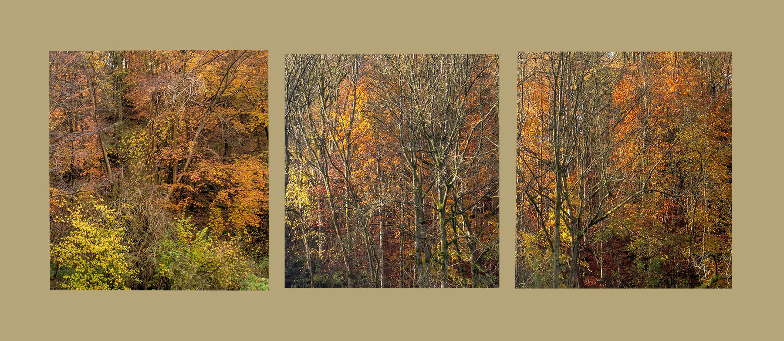 Autumn in Lathkill Dale 