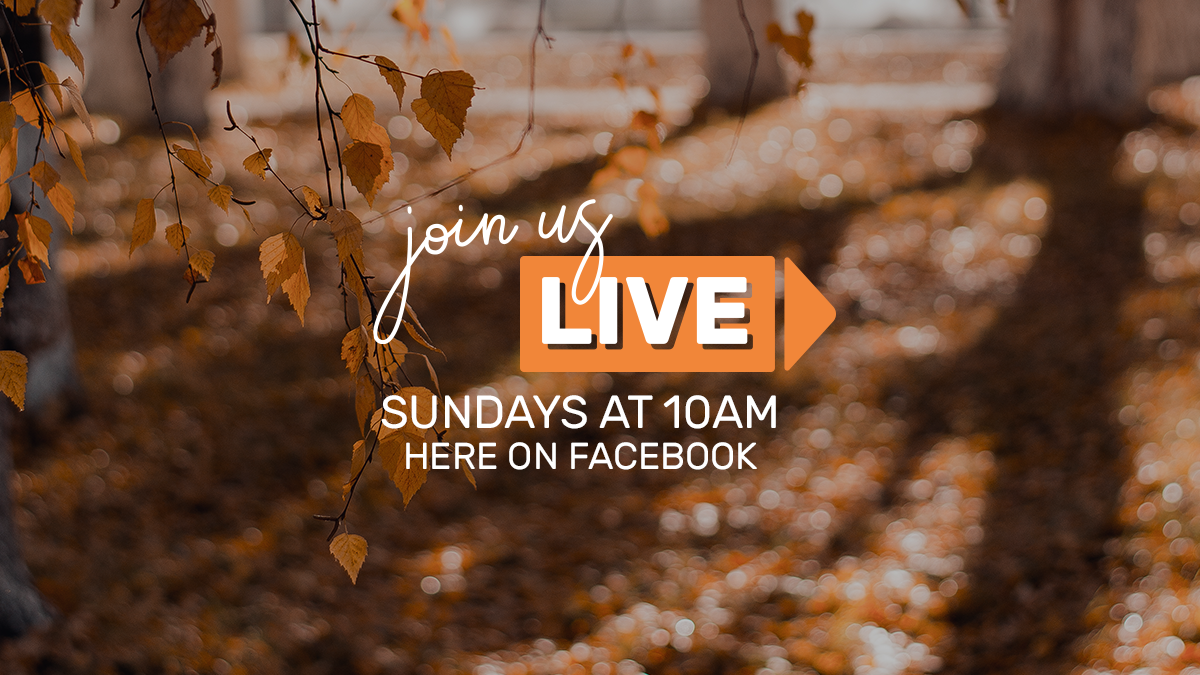 Live stream autumn cover photo