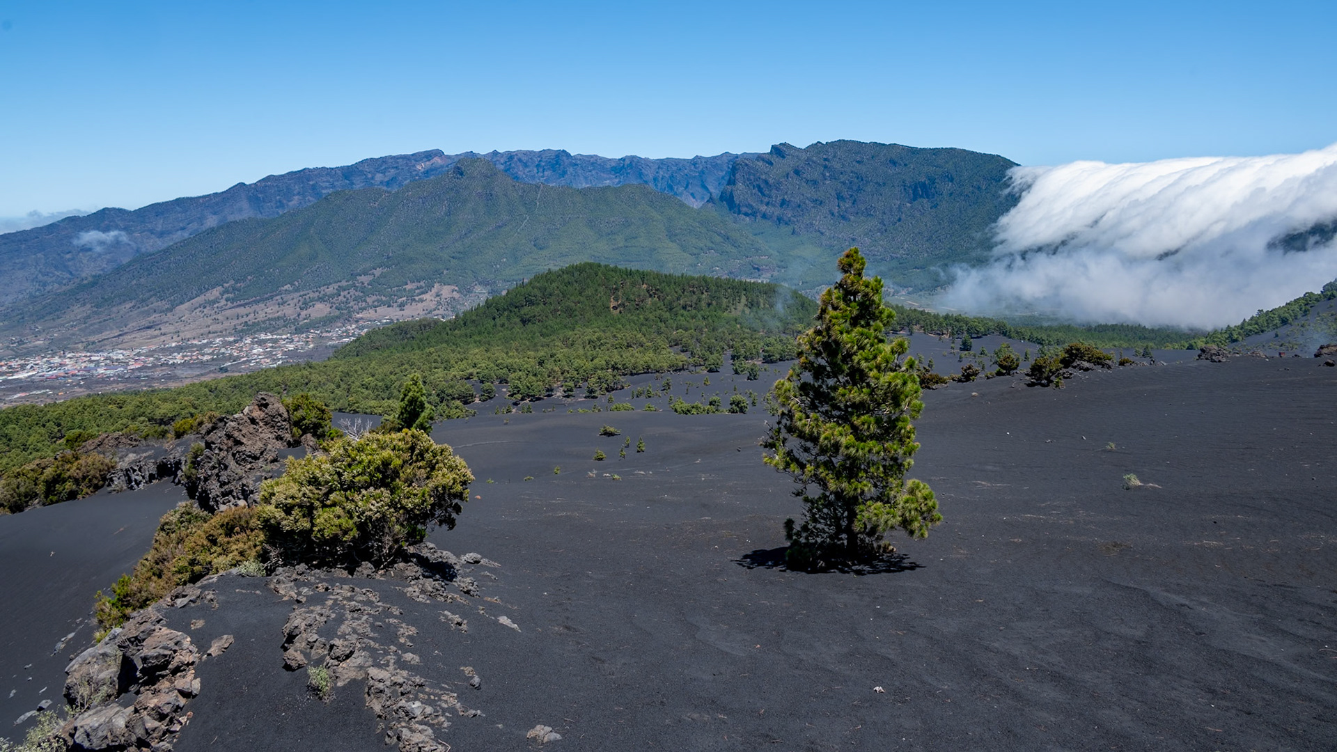 Vue depuis El Pilar vers caldera Taburiente
