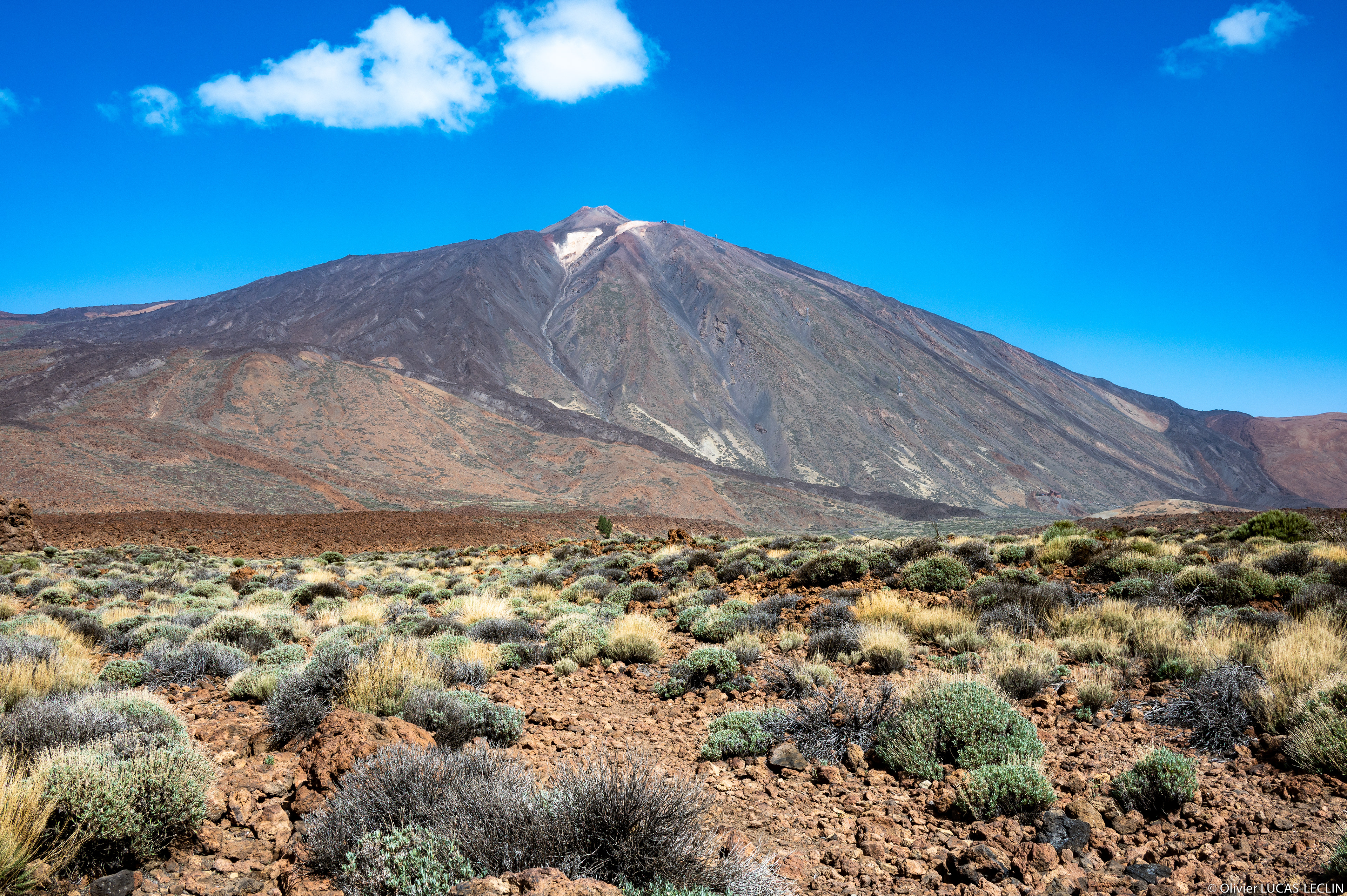 Tenerife / Parc national du Teide
