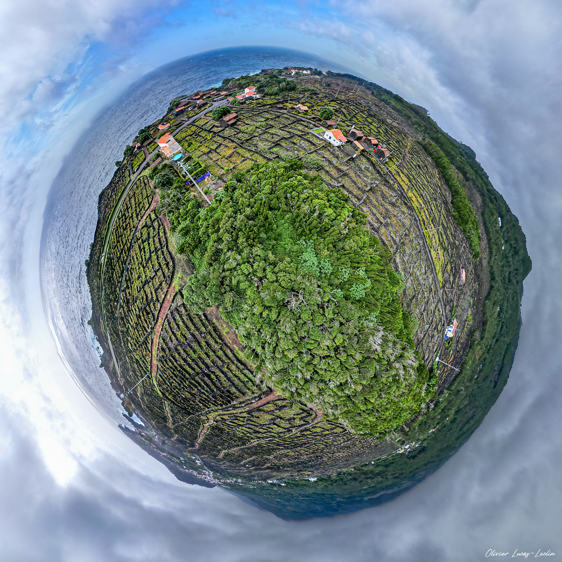 Açores / Pico - Vignes côte sud
