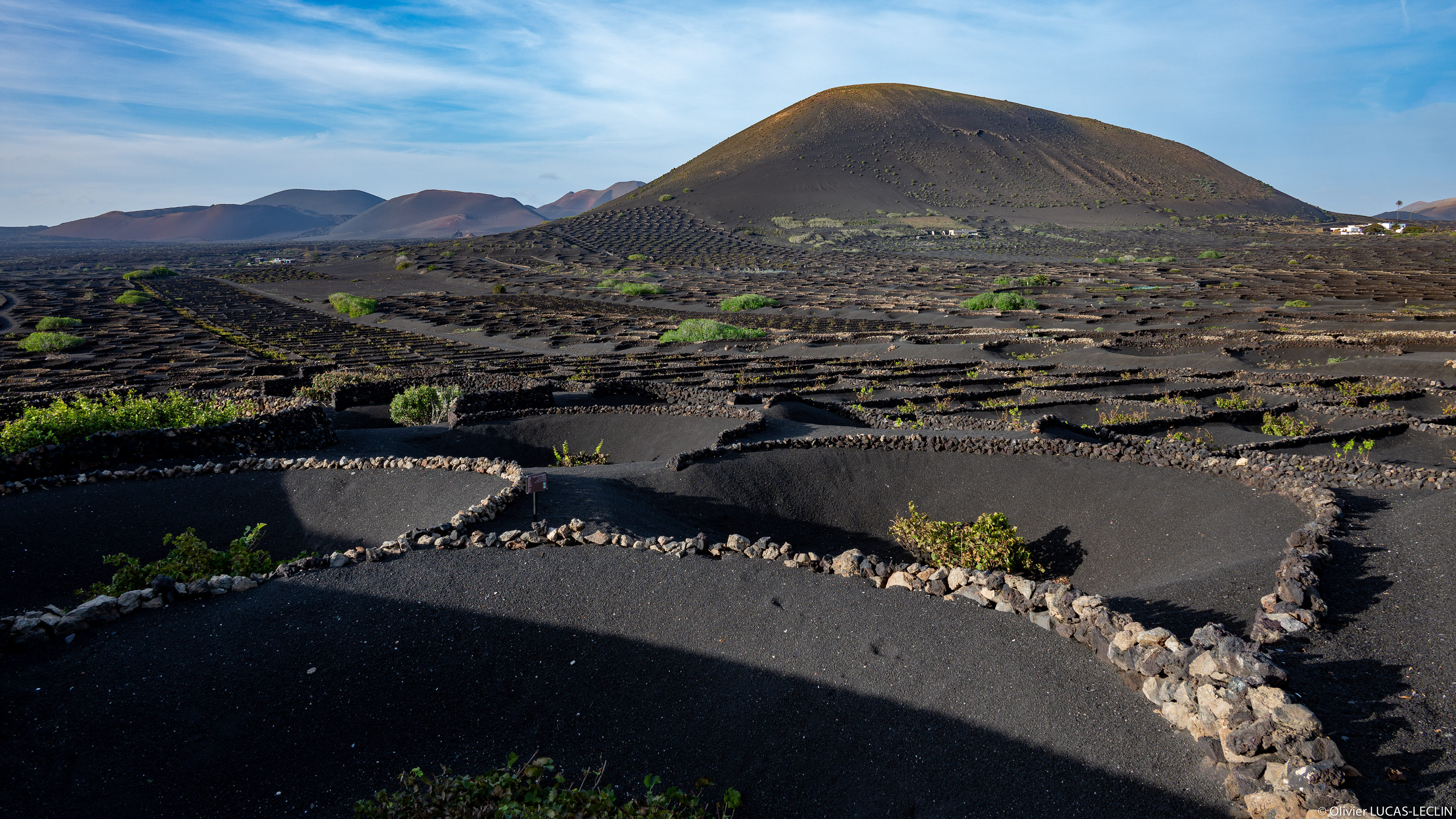 Lanzarote / Vignes Bodega La Geria