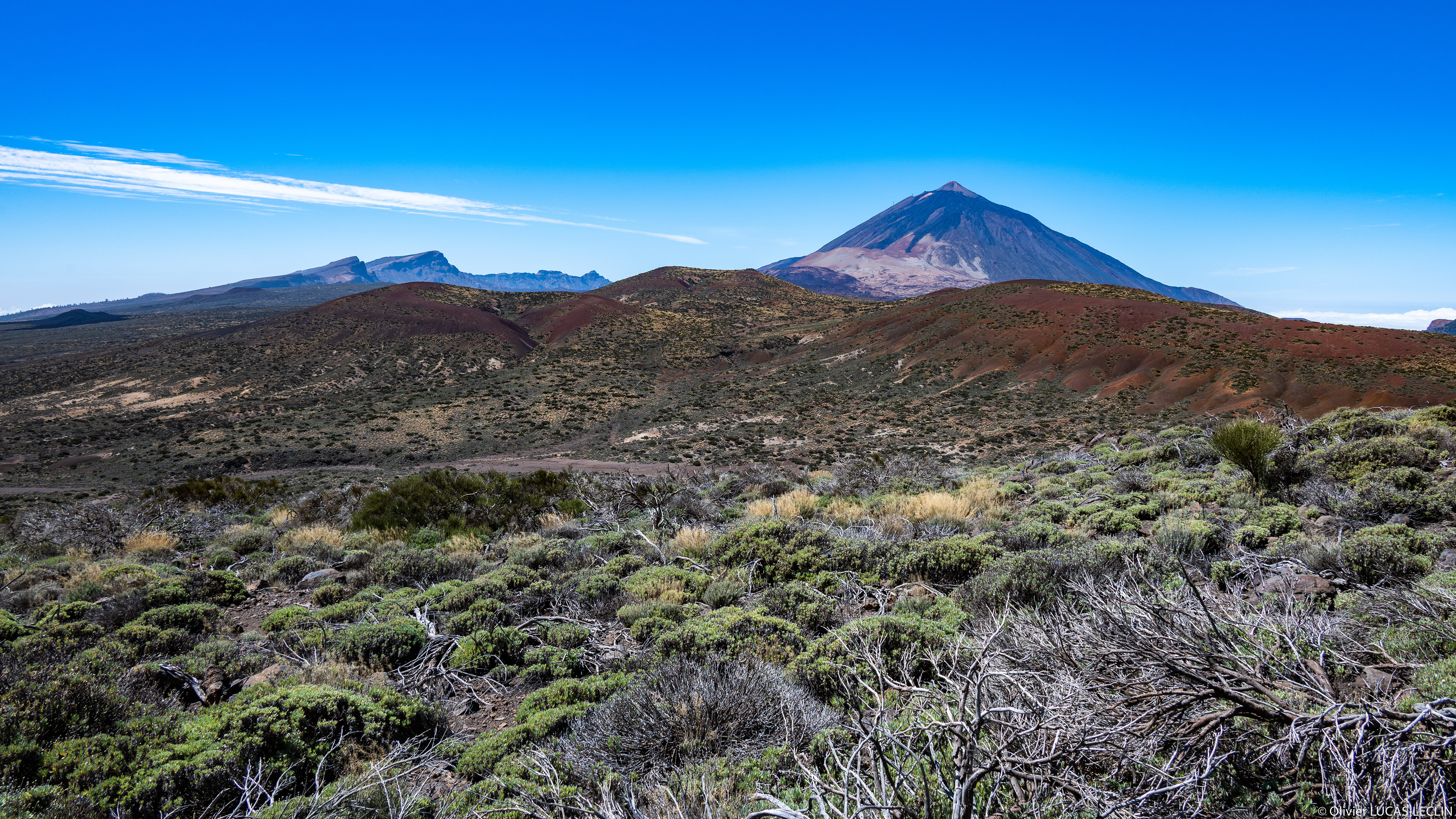 Tenerife / Parc national du Teide