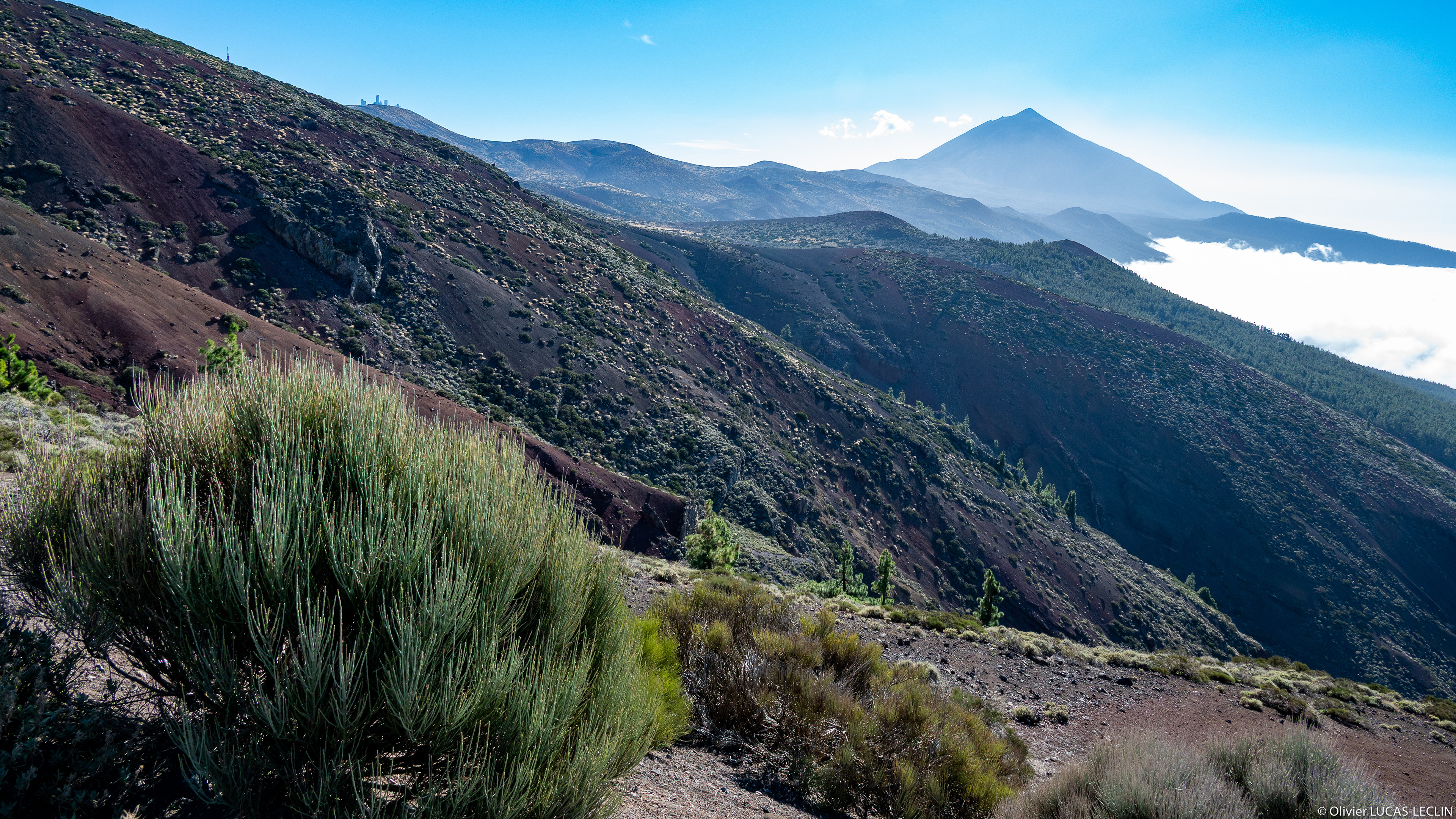 Tenerife / Parc national du Teide